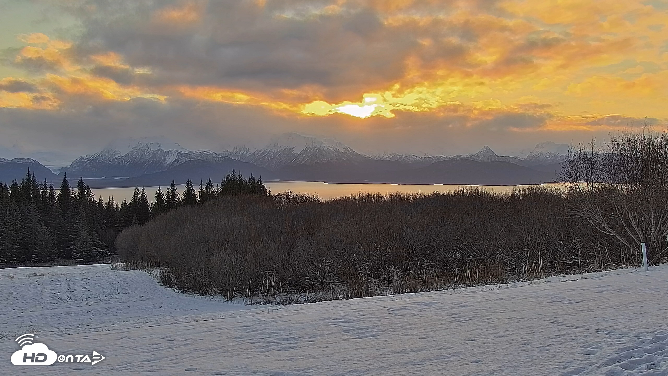 Snapshot of Inspiration Ridge - Homer Alaska Live Webcam taken Nov 19, 2025, 9:47am AKST