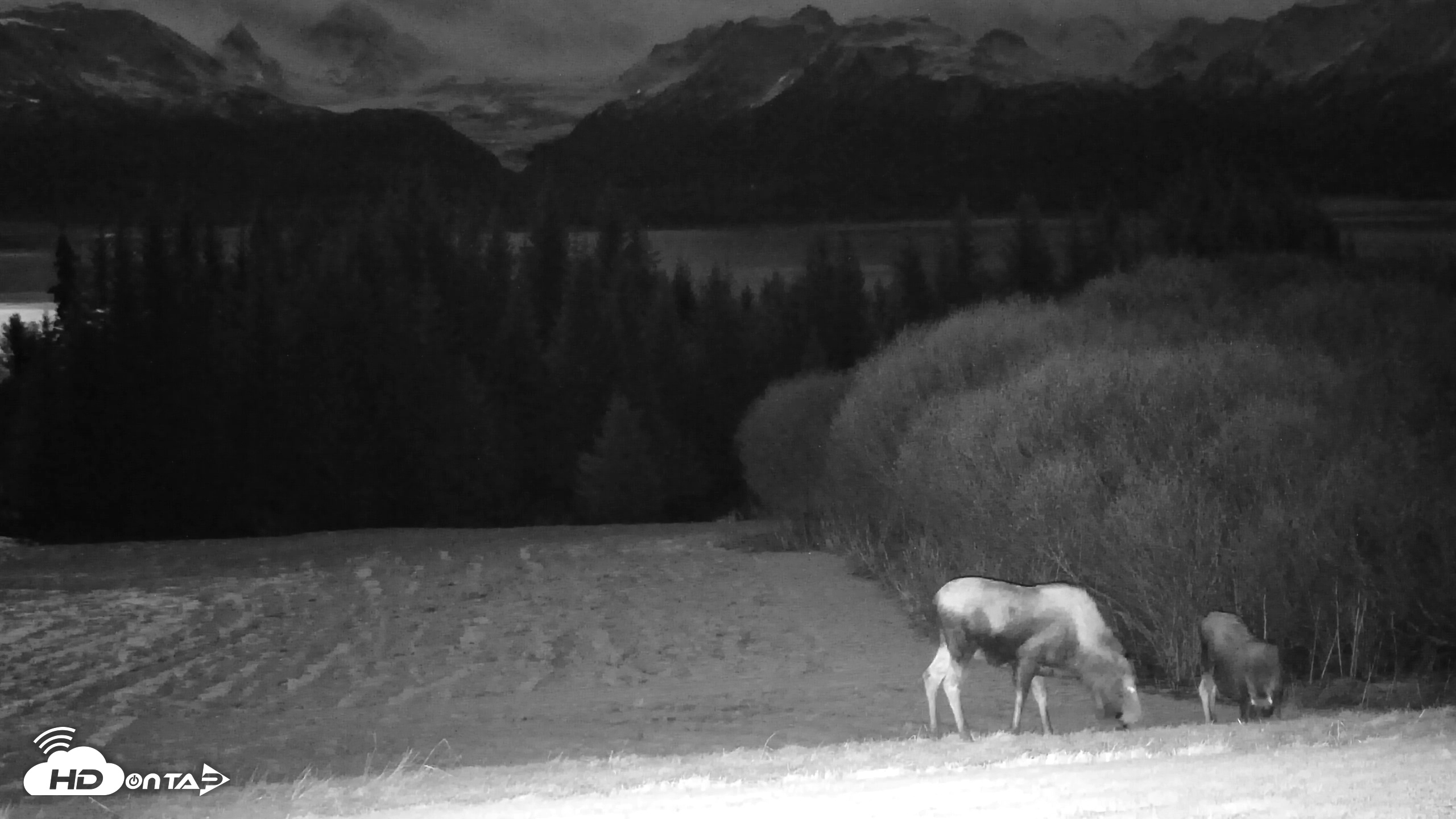 Snapshot of Inspiration Ridge - Homer Alaska Live Webcam taken Dec 2, 2025, 7:22pm AKST