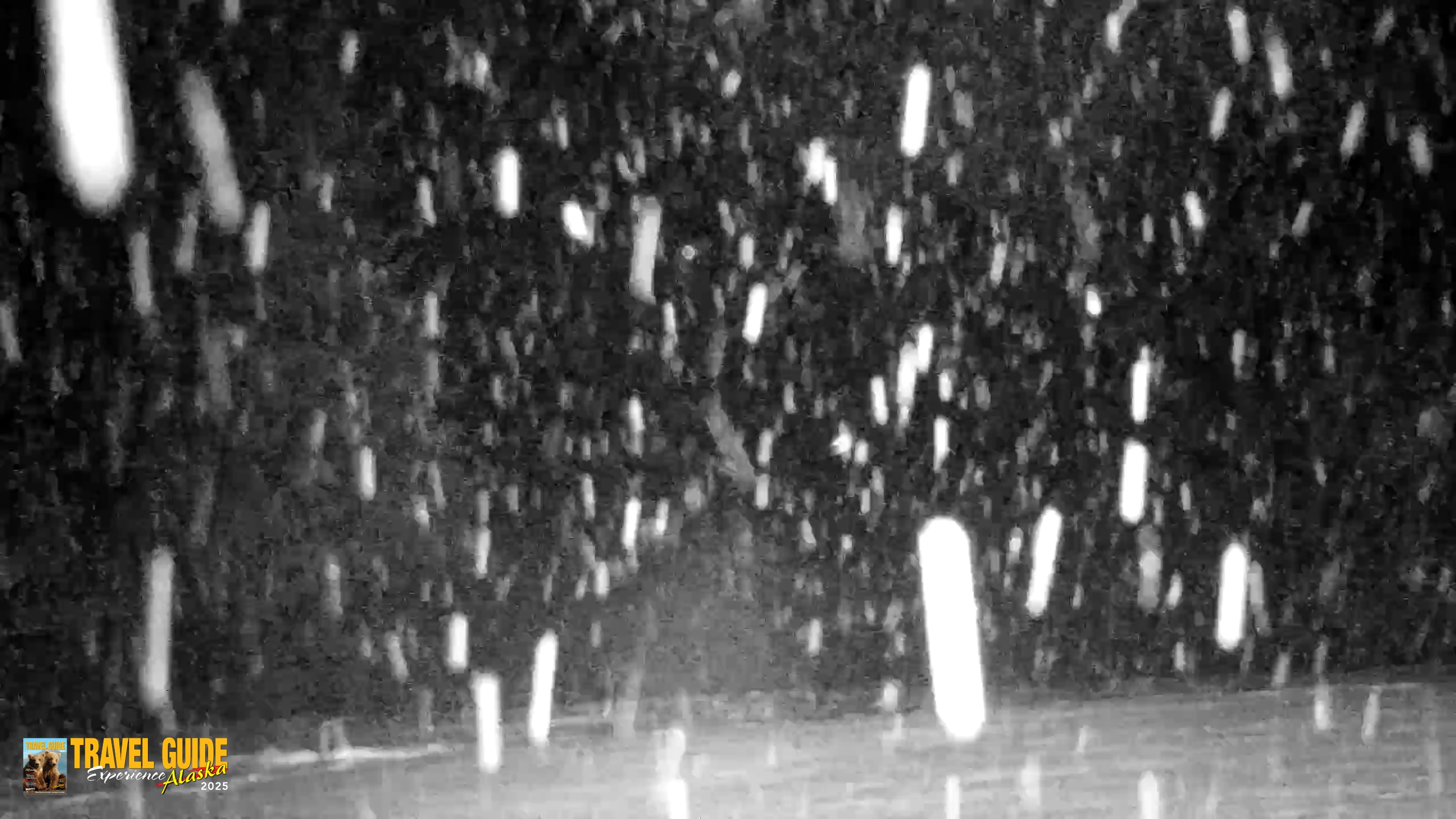 Snapshot of Inspiration Ridge - Homer Alaska Live Webcam taken Jan 13, 2026, 9:10pm AKST