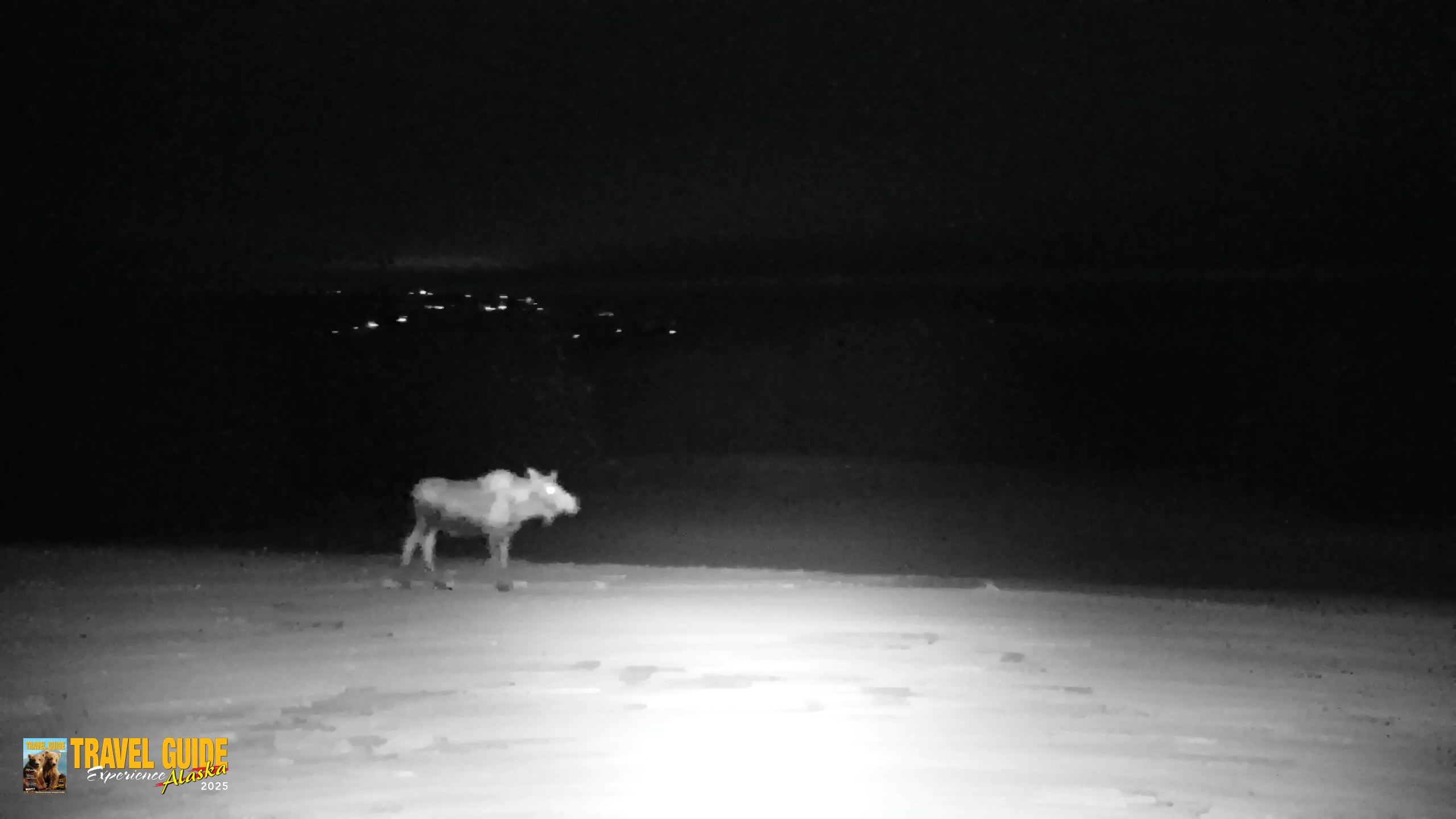 Snapshot of Inspiration Ridge - Homer Alaska Live Webcam taken Feb 9, 2026, 7:35pm AKST