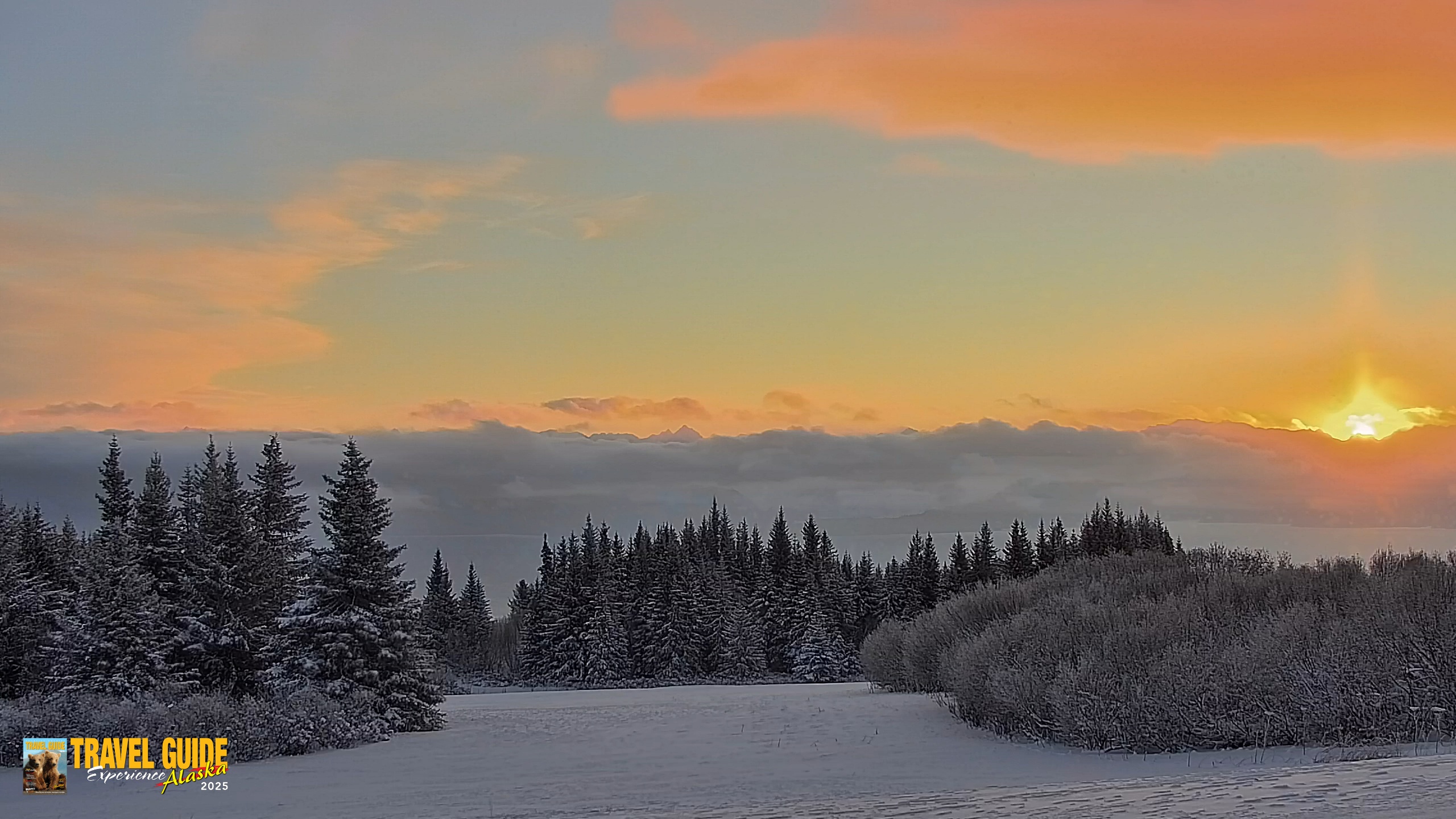 Snapshot of Inspiration Ridge - Homer Alaska Live Webcam taken Jan 14, 2026, 10:09am AKST