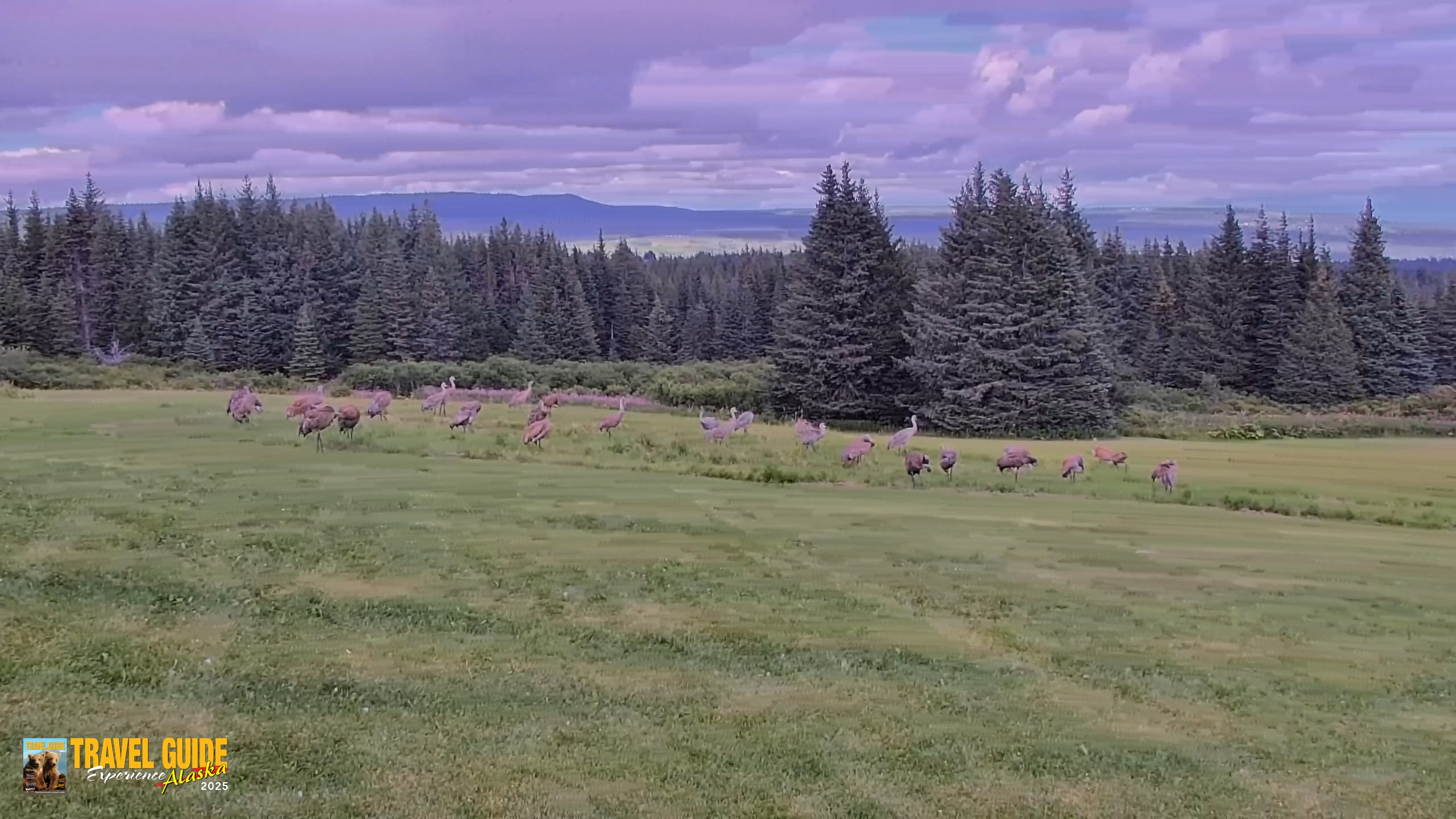 Snapshot of Inspiration Ridge - Homer Alaska Live Webcam taken Aug 23, 2026, 9:47pm AKDT