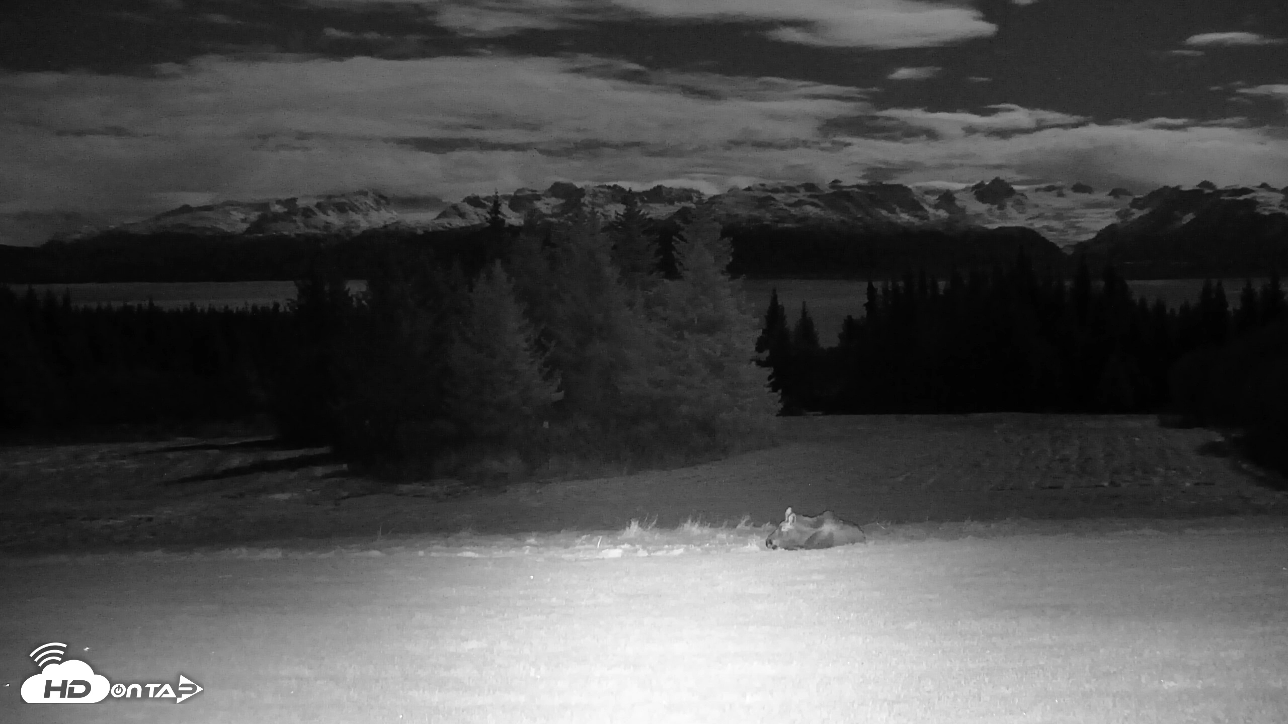 Snapshot of Inspiration Ridge - Homer Alaska Live Webcam taken Nov 3, 2025, 9:17pm AKST