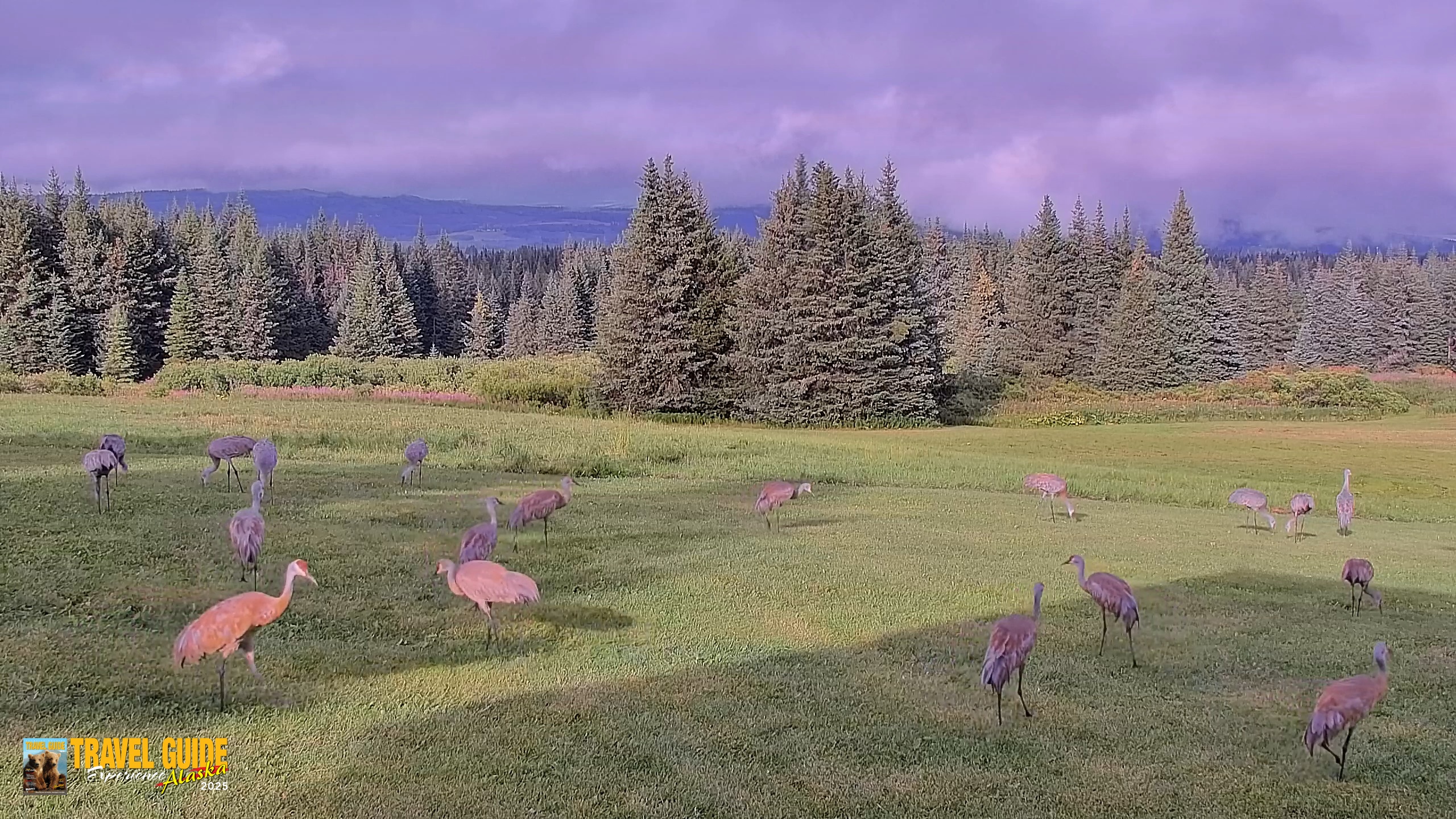 Snapshot of Inspiration Ridge - Homer Alaska Live Webcam taken Aug 25, 2026, 8:40pm AKDT
