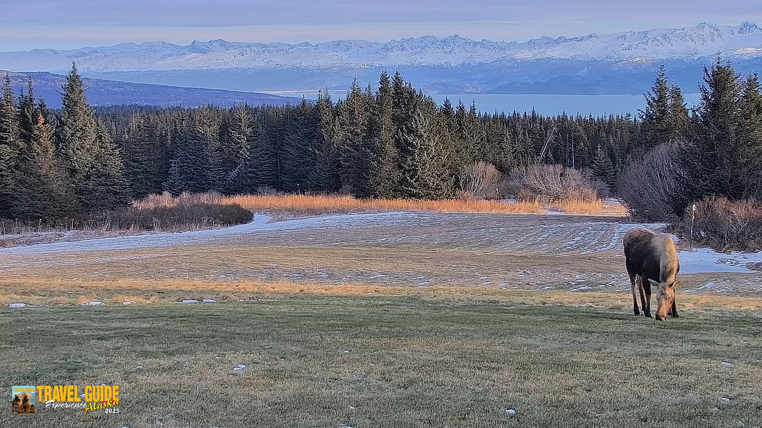 Snapshot of Inspiration Ridge - Homer Alaska Live Webcam taken Dec 22, 2025, 2:08pm AKST