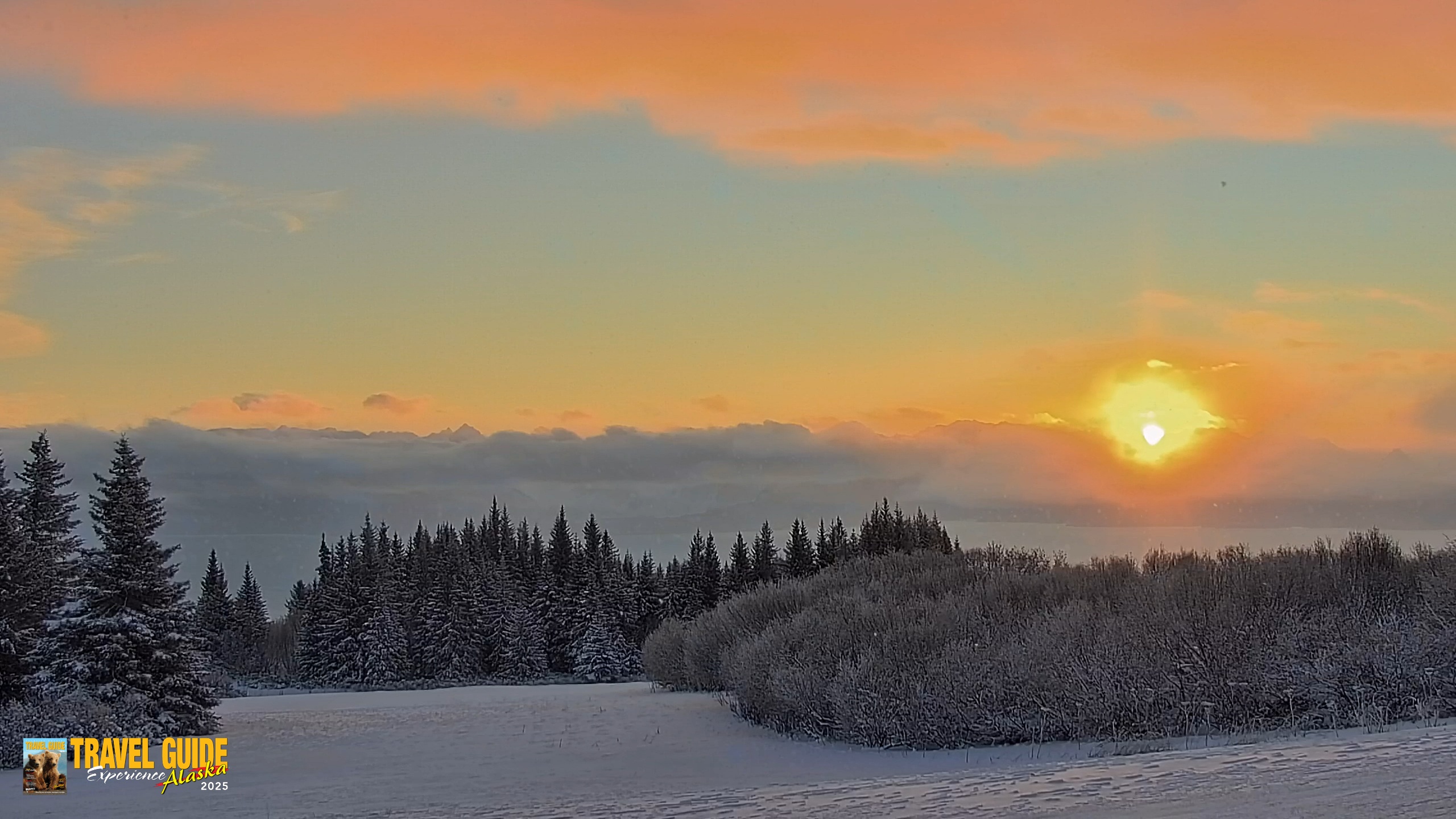 Snapshot of Inspiration Ridge - Homer Alaska Live Webcam taken Jan 14, 2026, 10:11am AKST