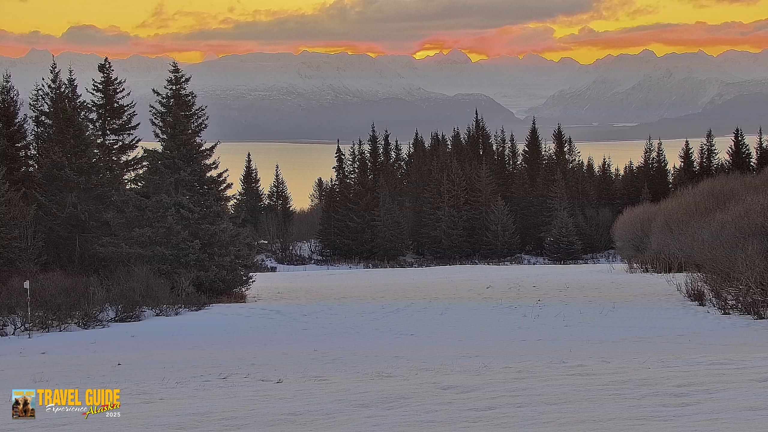 Snapshot of Inspiration Ridge - Homer Alaska Live Webcam taken Feb 15, 2026, 8:44am AKST