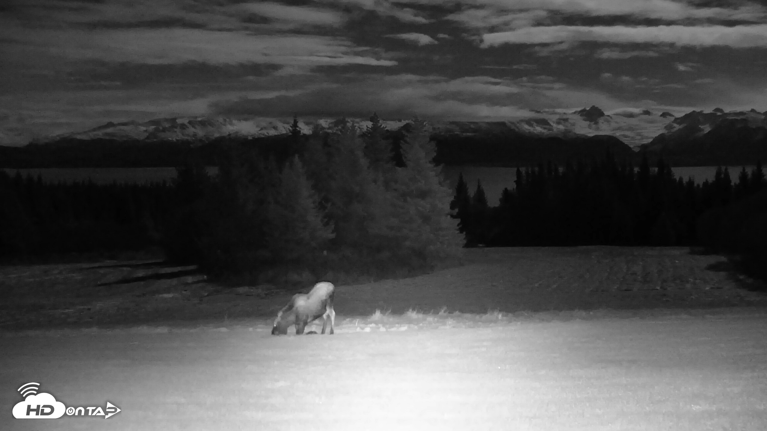 Snapshot of Inspiration Ridge - Homer Alaska Live Webcam taken Nov 3, 2025, 9:24pm AKST