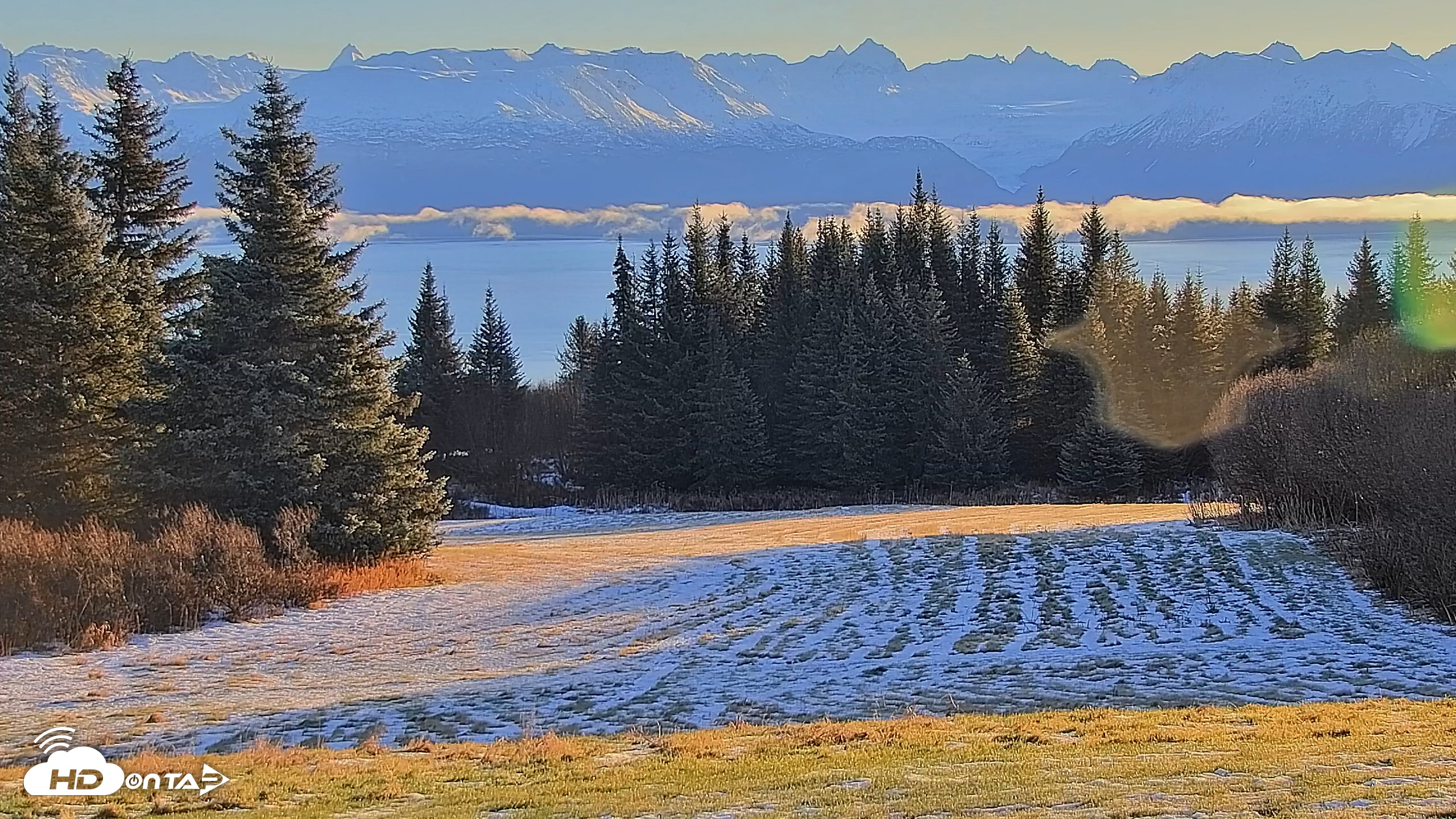 Snapshot of Inspiration Ridge - Homer Alaska Live Webcam taken Dec 1, 2025, 10:47am AKST