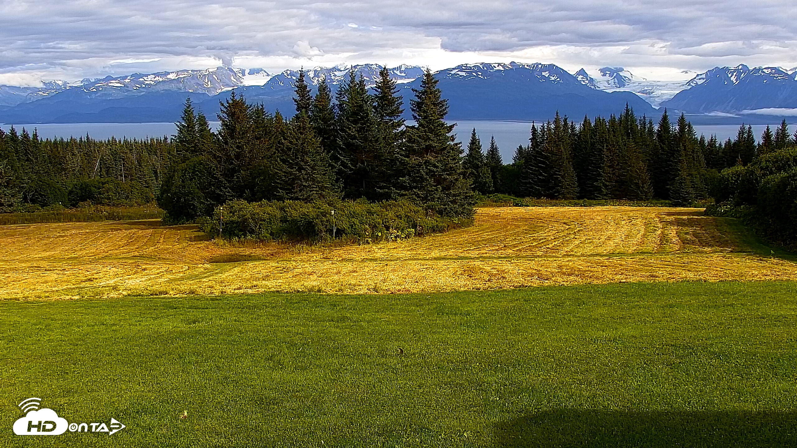 Snapshot of Inspiration Ridge - Homer Alaska Live Webcam taken Aug 20, 2025, 4:37pm AKDT
