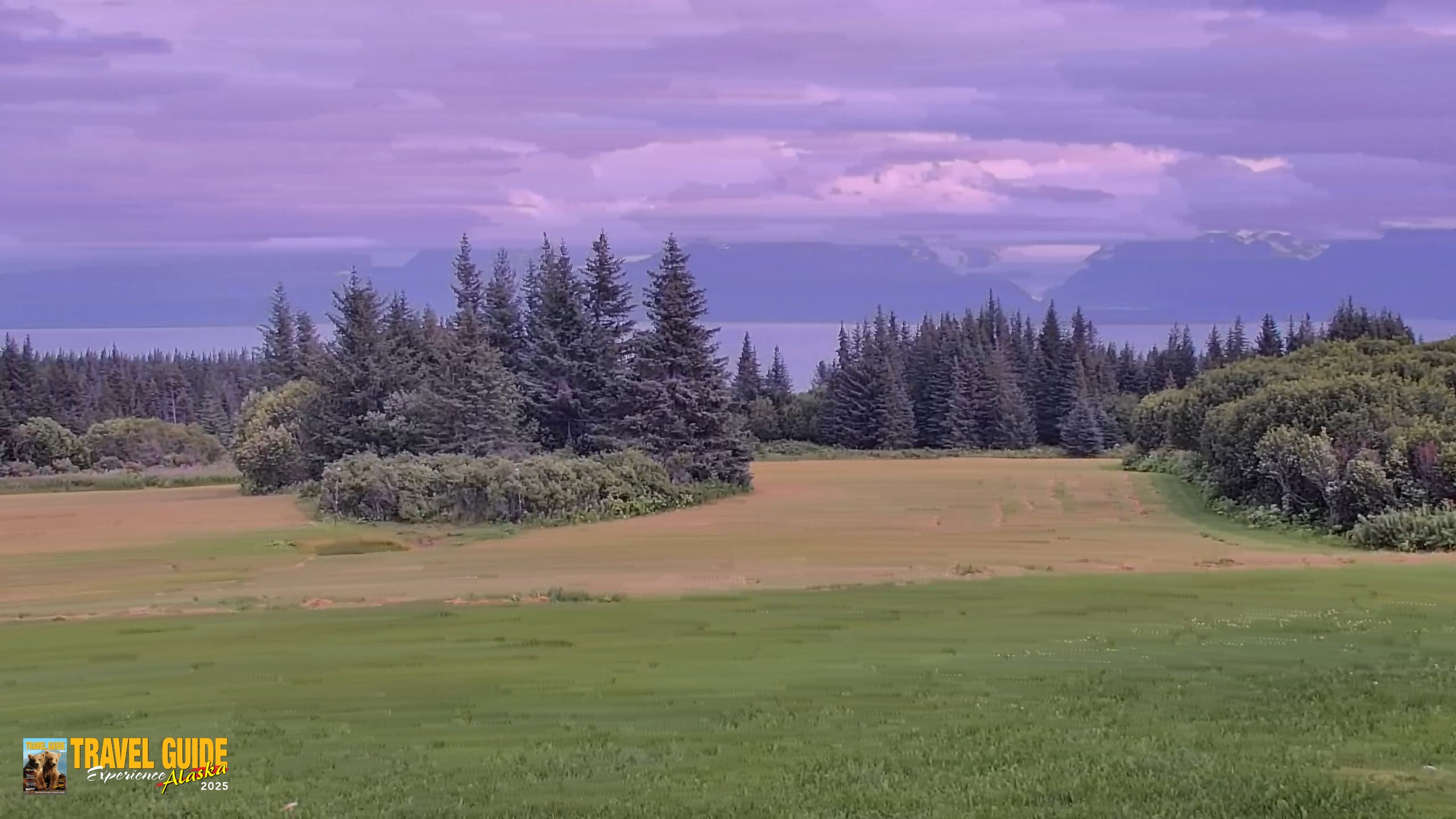 Snapshot of Inspiration Ridge - Homer Alaska Live Webcam taken Aug 17, 2026, 4:47pm AKDT