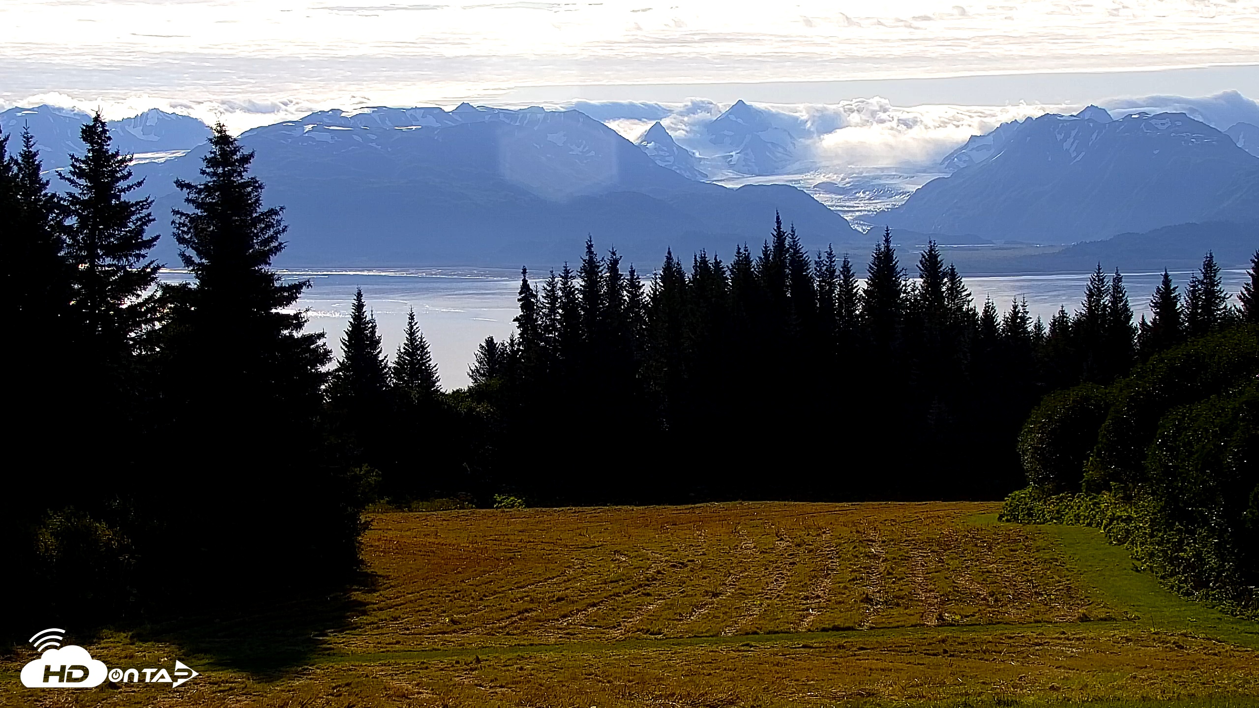 Snapshot of Inspiration Ridge - Homer Alaska Live Webcam taken Aug 25, 2025, 9:33am AKDT