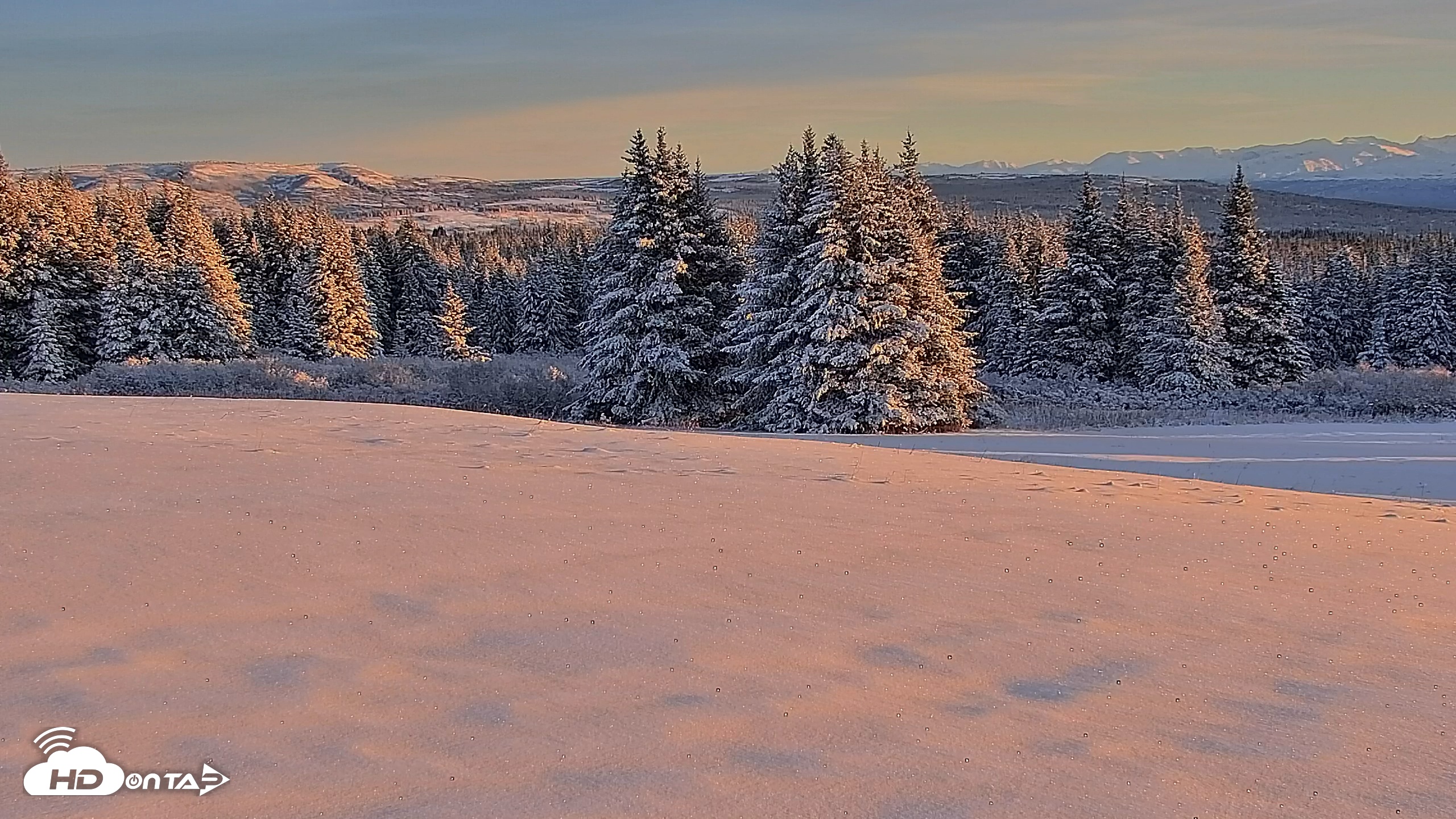 Snapshot of Inspiration Ridge - Homer Alaska Live Webcam taken Nov 22, 2025, 9:48am AKST