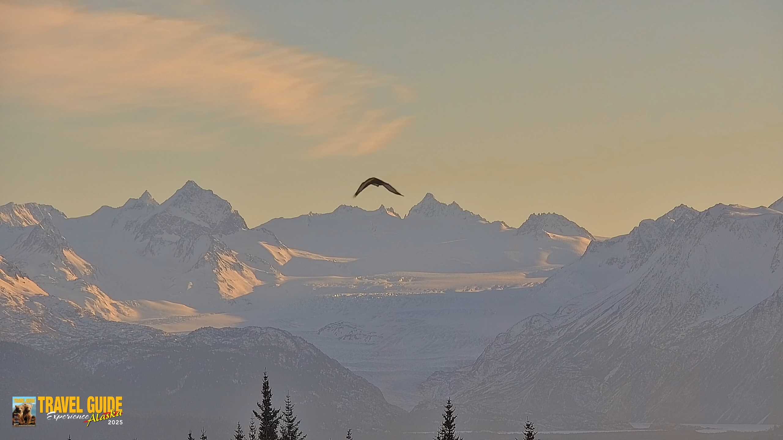Snapshot of Inspiration Ridge - Homer Alaska Live Webcam taken Jan 18, 2026, 12:33pm AKST