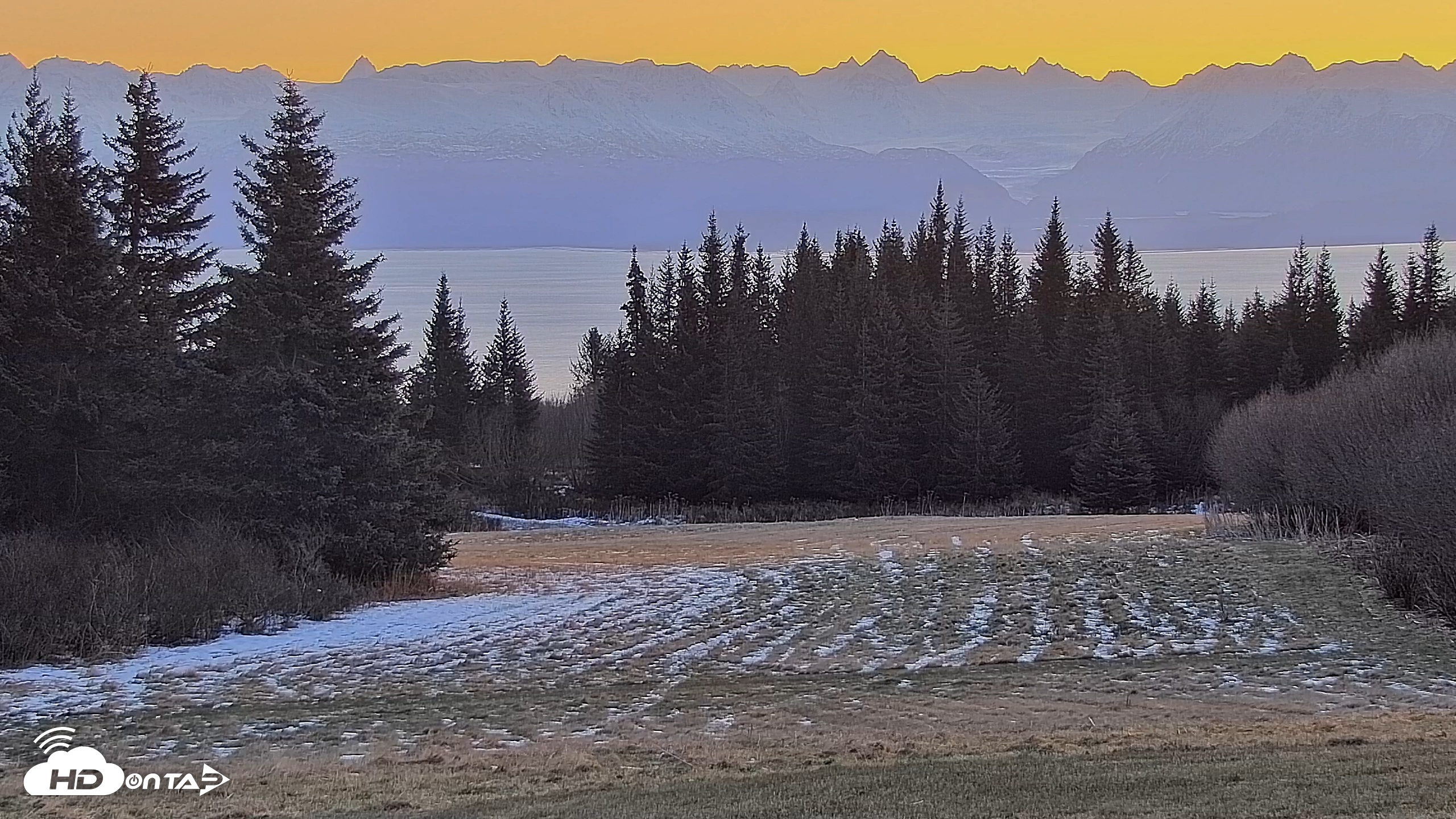 Snapshot of Inspiration Ridge - Homer Alaska Live Webcam taken Dec 14, 2025, 9:37am AKST