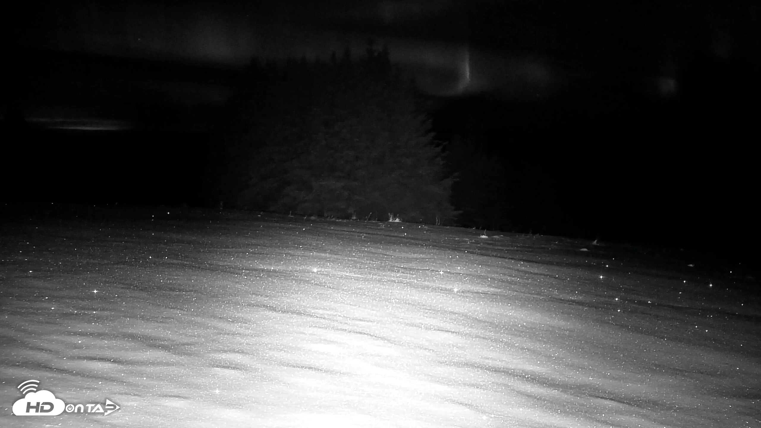 Snapshot of Inspiration Ridge - Homer Alaska Live Webcam taken Nov 23, 2025, 2:15am AKST