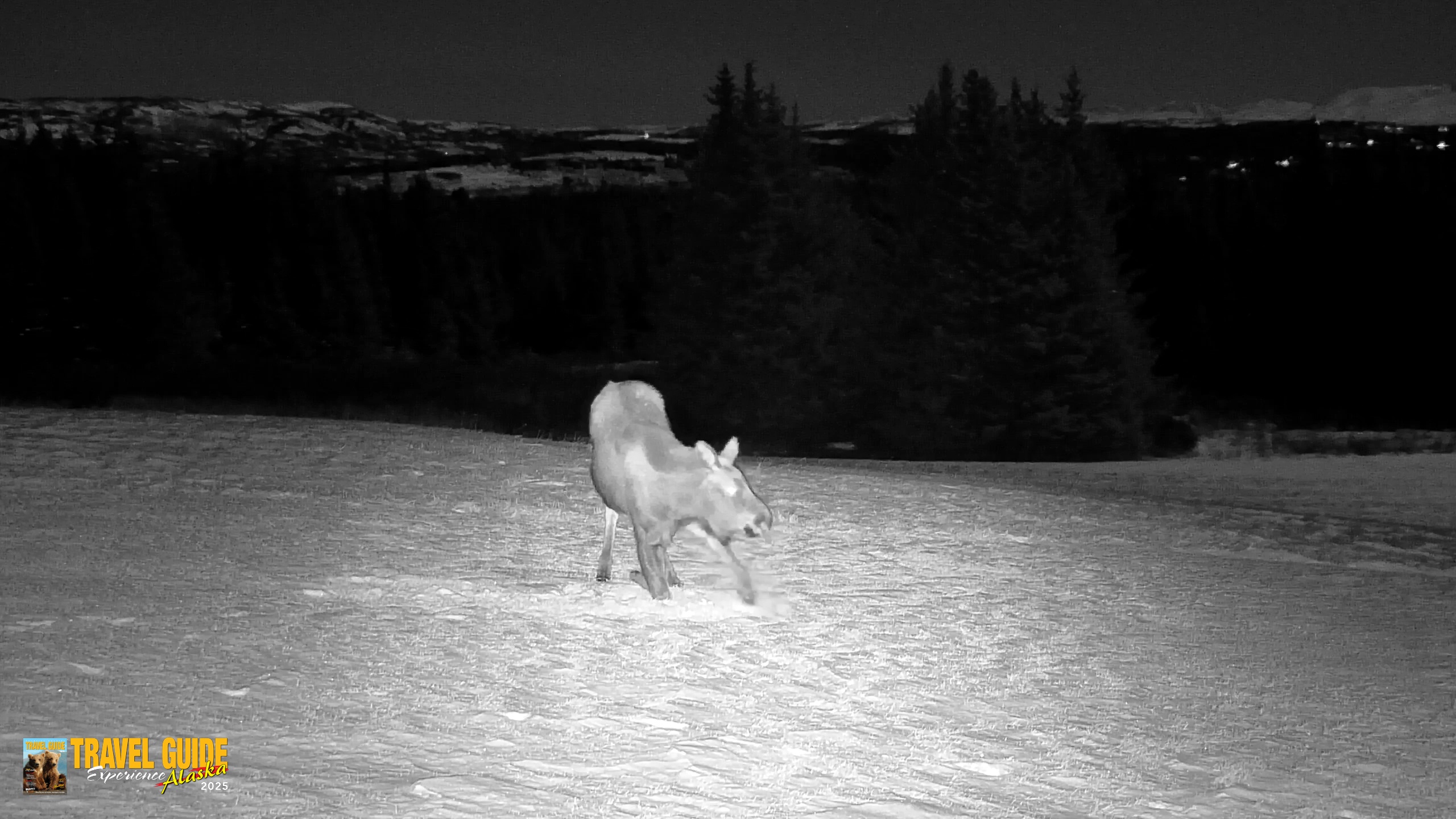 Snapshot of Inspiration Ridge - Homer Alaska Live Webcam taken Jan 2, 2026, 10:50pm AKST