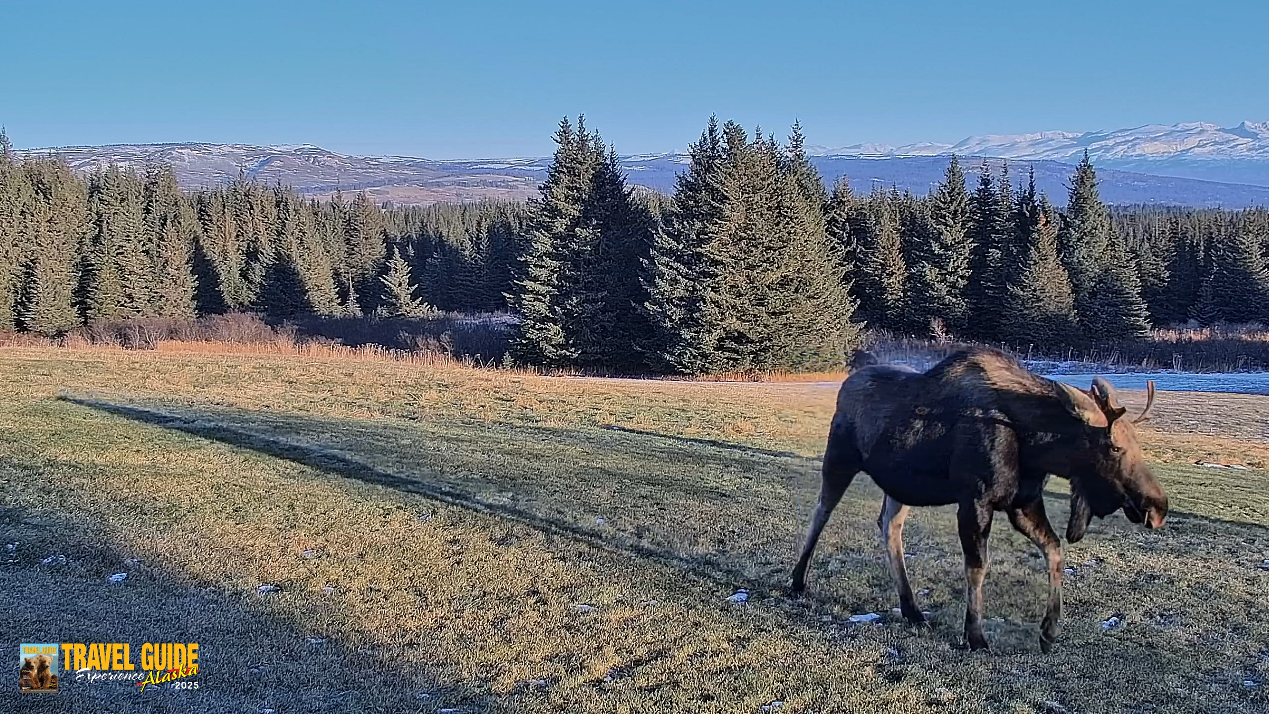 Snapshot of Inspiration Ridge - Homer Alaska Live Webcam taken Dec 23, 2025, 1:30pm AKST