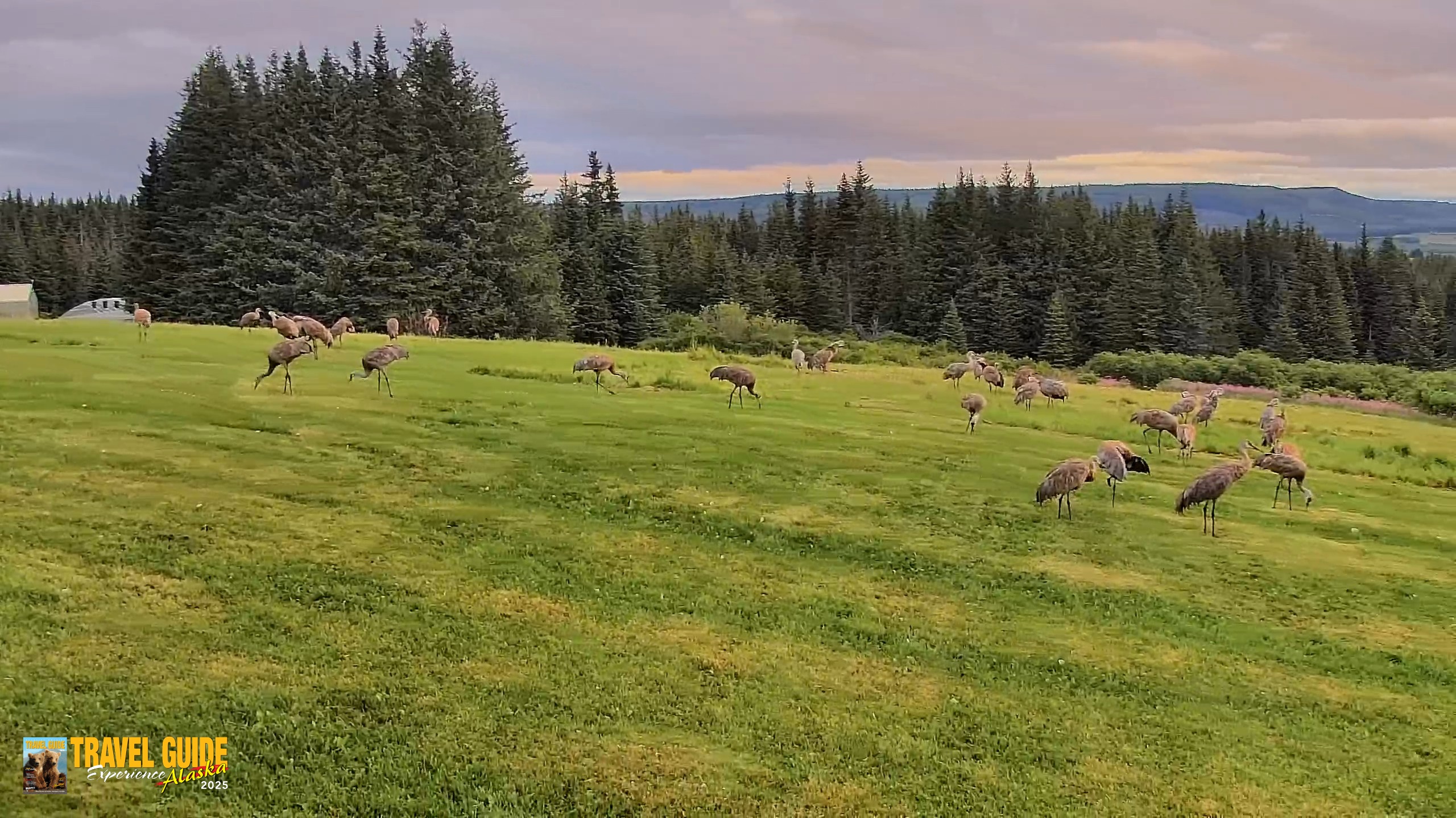 Snapshot of Inspiration Ridge - Homer Alaska Live Webcam taken Aug 20, 2026, 7:25am AKDT