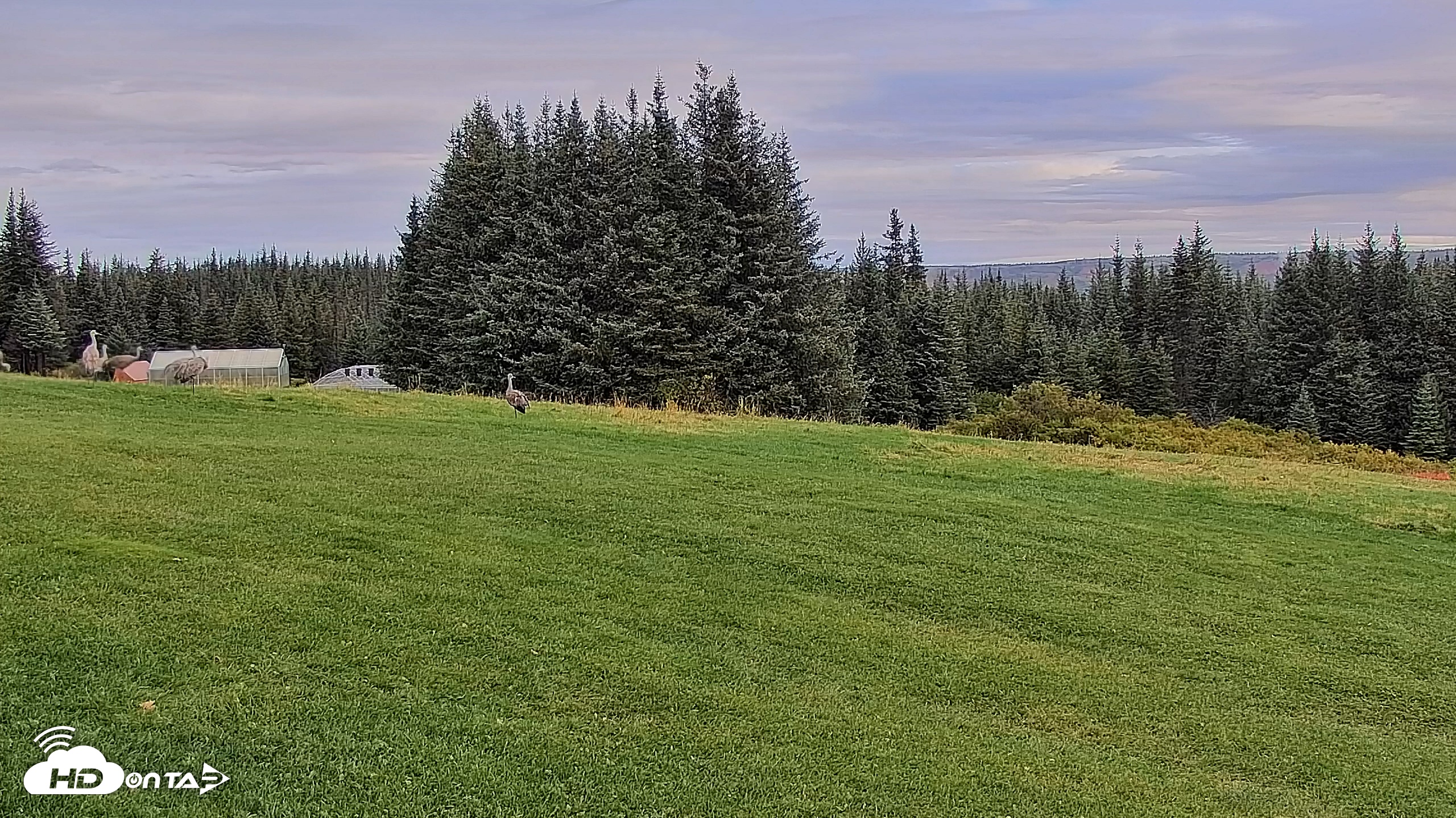 Snapshot of Inspiration Ridge - Homer Alaska Live Webcam taken Sep 12, 2025, 10:22am AKDT