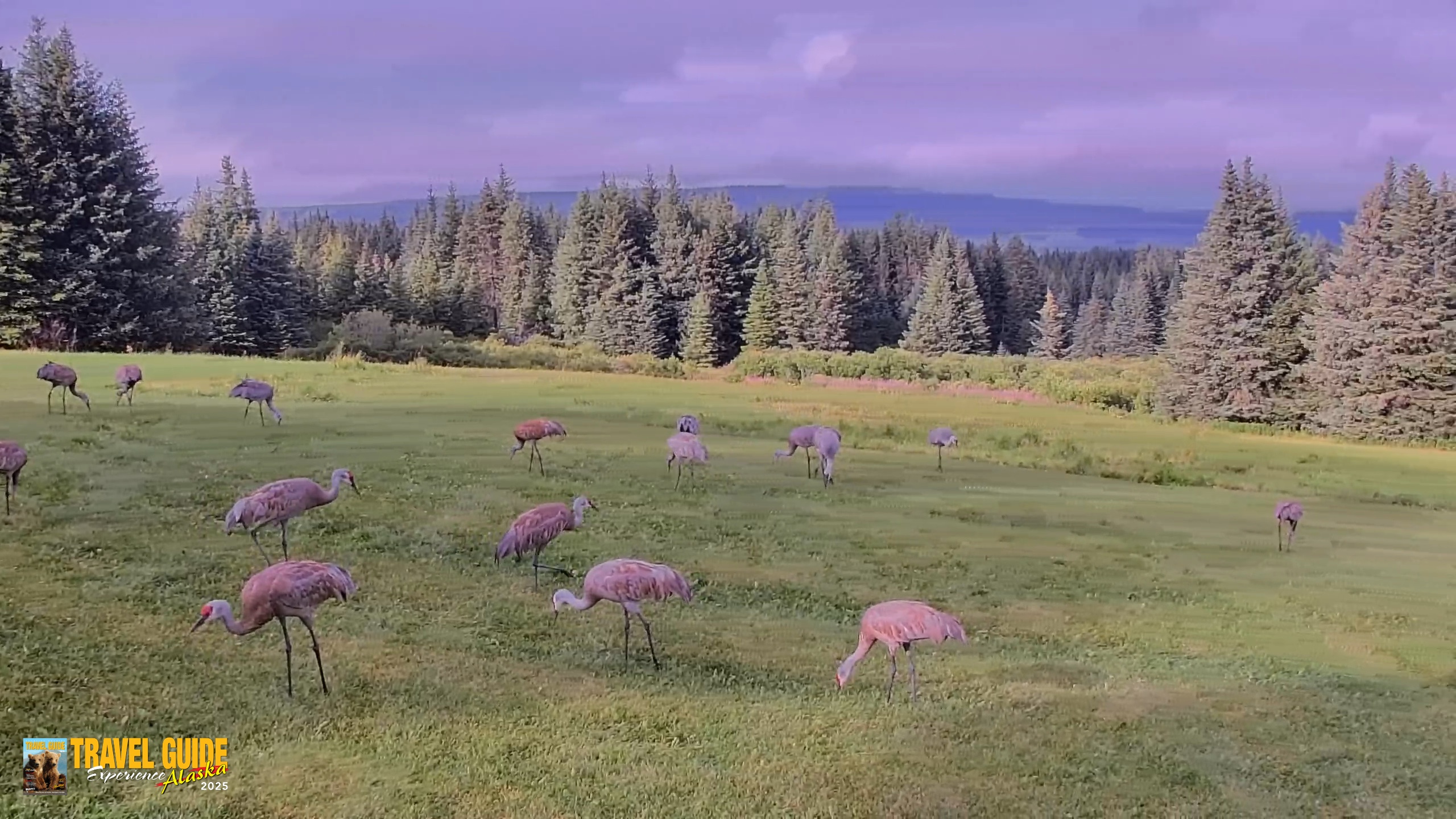 Snapshot of Inspiration Ridge - Homer Alaska Live Webcam taken Aug 25, 2026, 8:40pm AKDT