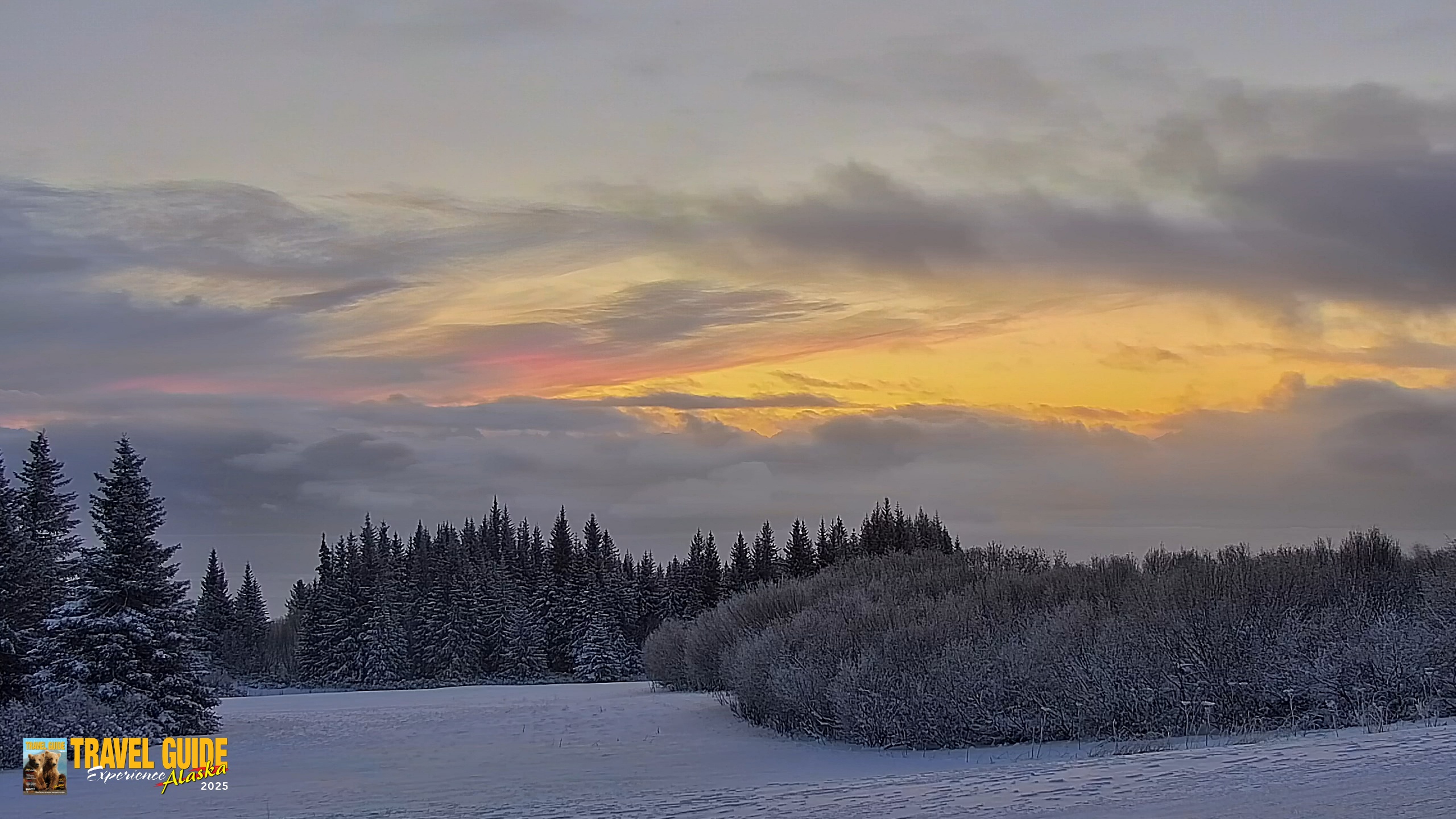 Snapshot of Inspiration Ridge - Homer Alaska Live Webcam taken Jan 14, 2026, 9:30am AKST