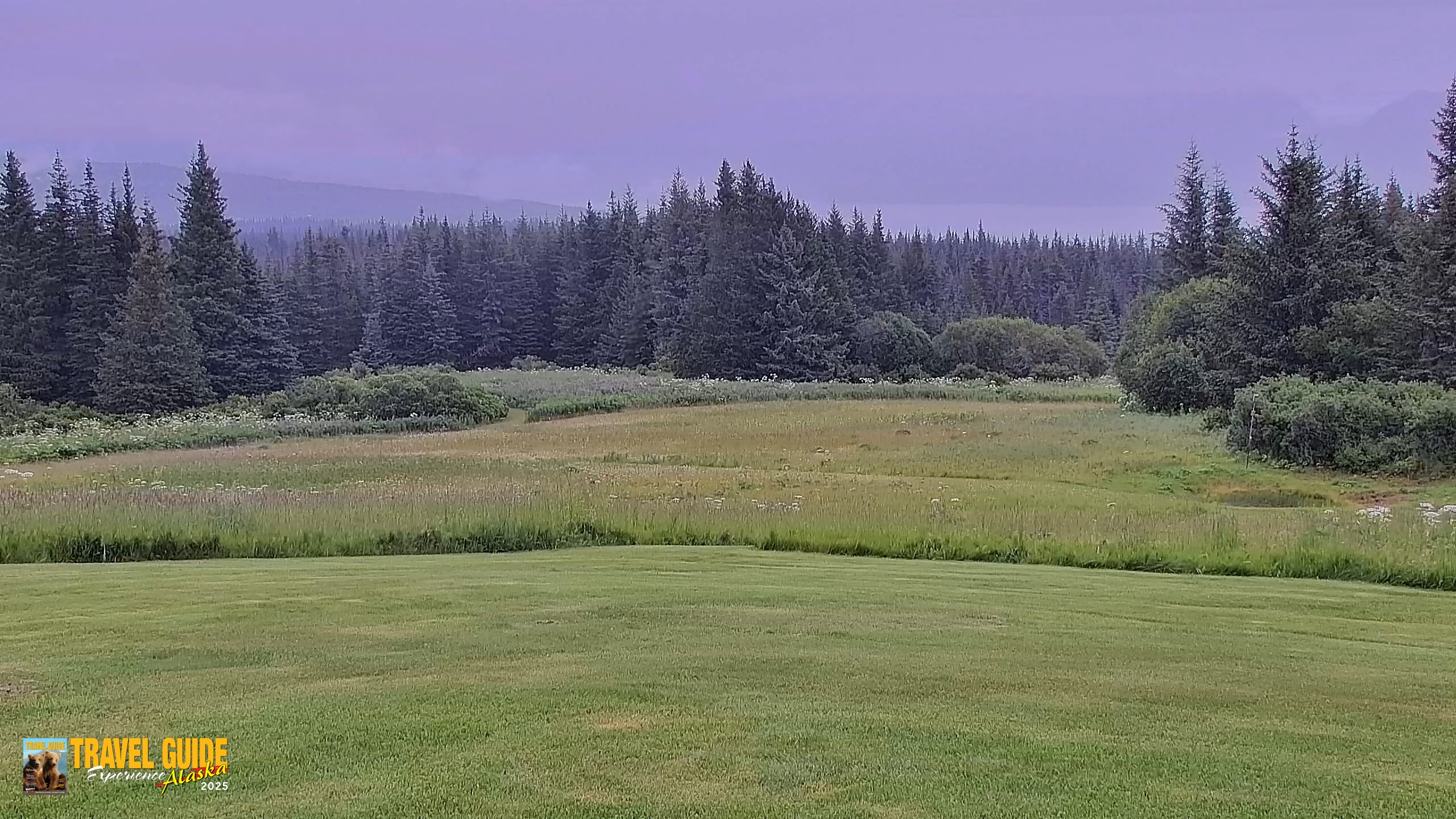 Snapshot of Inspiration Ridge - Homer Alaska Live Webcam taken Aug 5, 2026, 1:38pm AKDT
