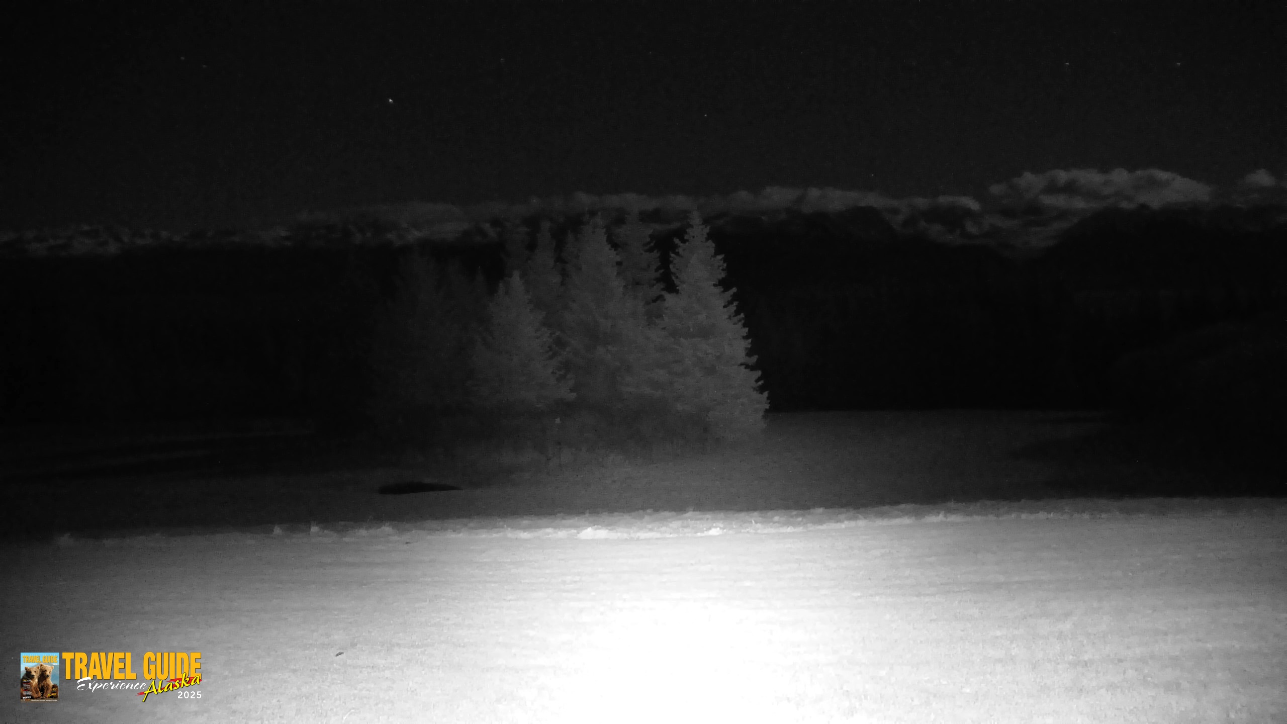Snapshot of Inspiration Ridge - Homer Alaska Live Webcam taken Oct 21, 2026, 9:27pm AKDT