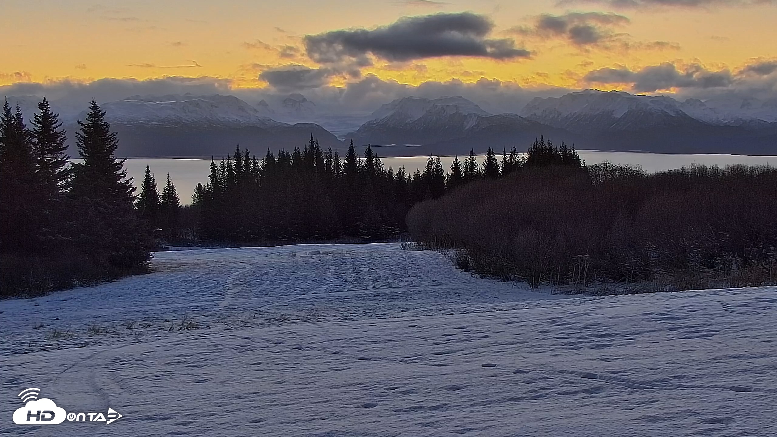 Snapshot of Inspiration Ridge - Homer Alaska Live Webcam taken Nov 19, 2025, 8:36am AKST