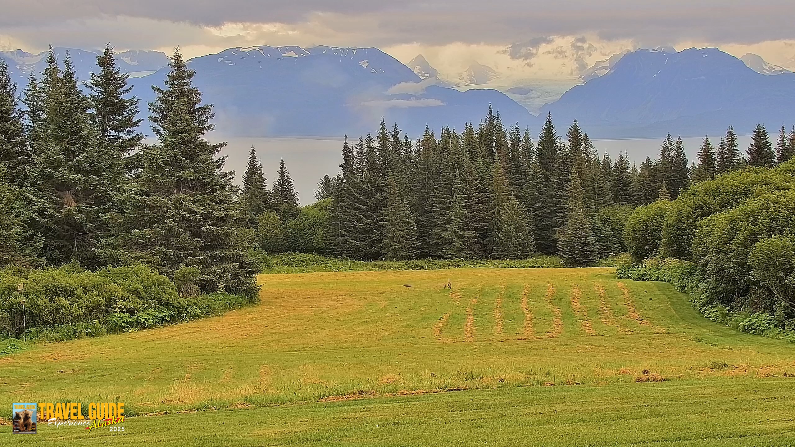 Snapshot of Inspiration Ridge - Homer Alaska Live Webcam taken Aug 19, 2026, 4:45pm AKDT