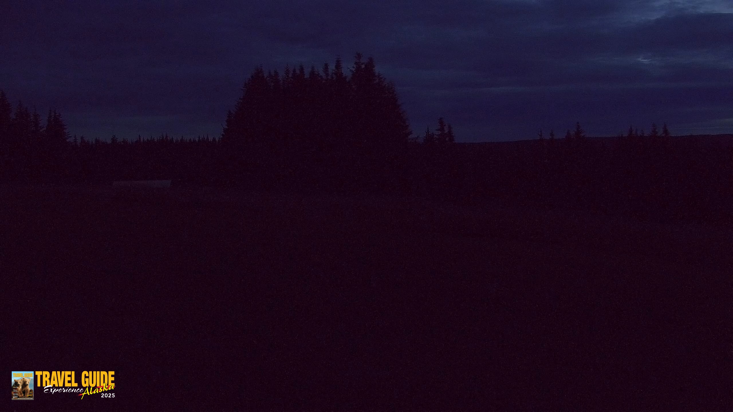 Snapshot of Inspiration Ridge - Homer Alaska Live Webcam taken Aug 3, 2026, 4:55am AKDT