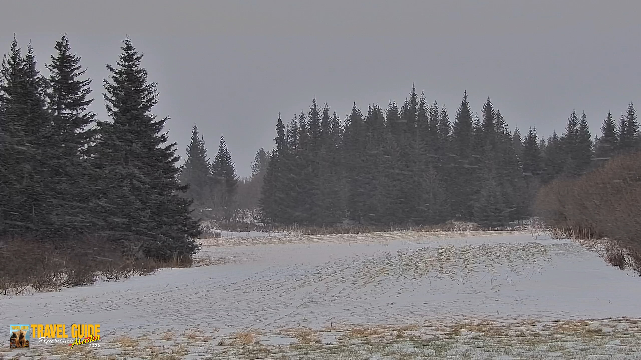 Snapshot of Inspiration Ridge - Homer Alaska Live Webcam taken Dec 29, 2025, 3:00pm AKST