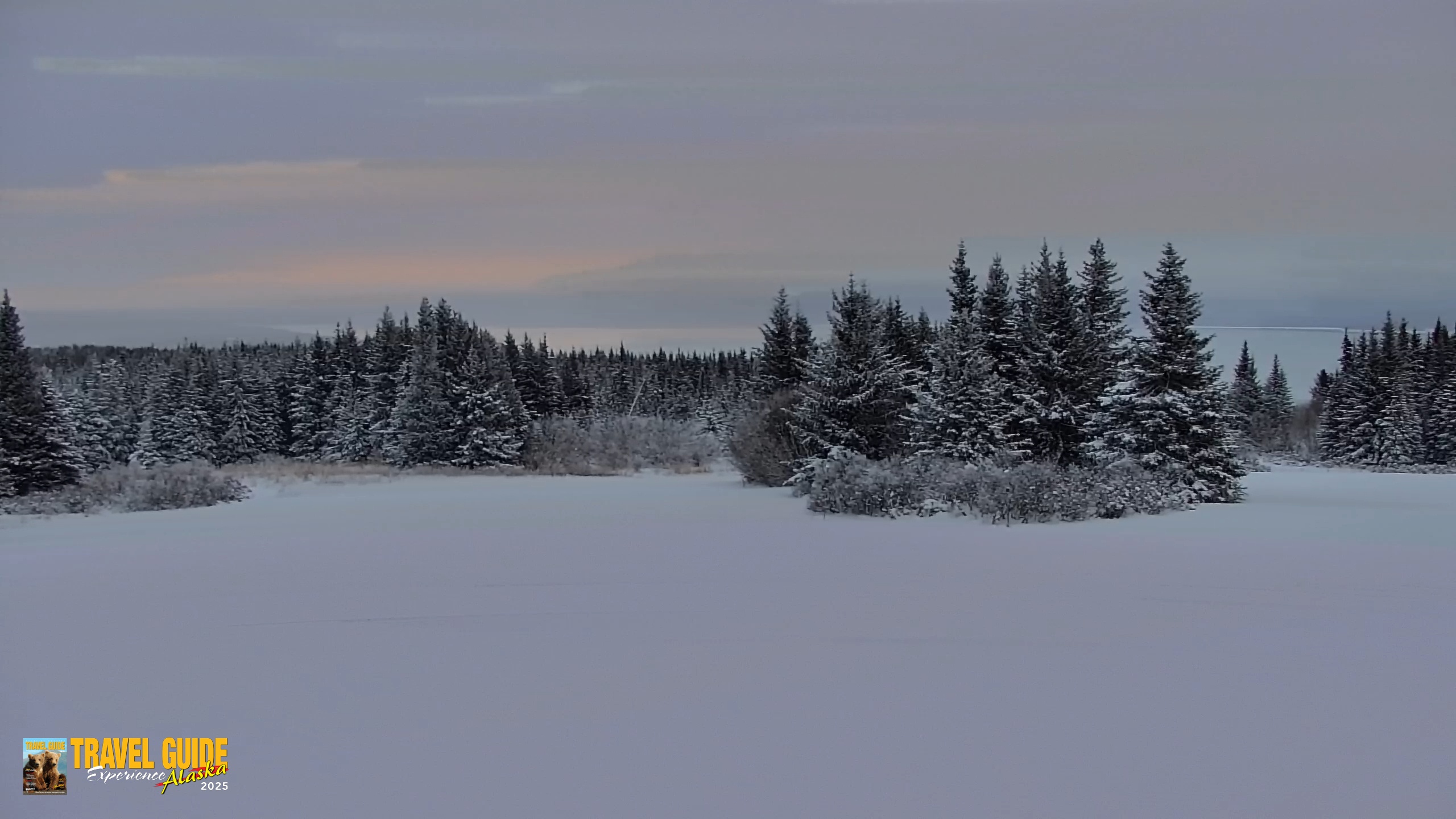 Snapshot of Inspiration Ridge - Homer Alaska Live Webcam taken Jan 14, 2026, 4:14pm AKST