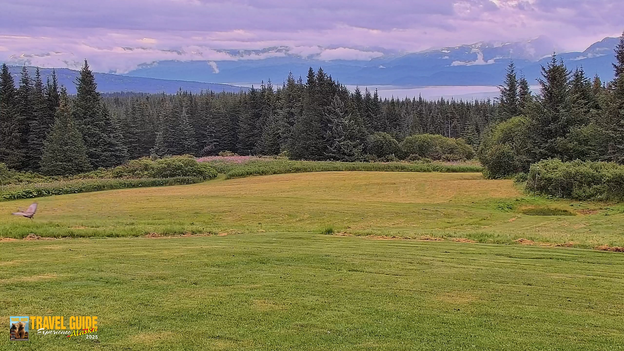 Snapshot of Inspiration Ridge - Homer Alaska Live Webcam taken Aug 19, 2026, 7:15pm AKDT