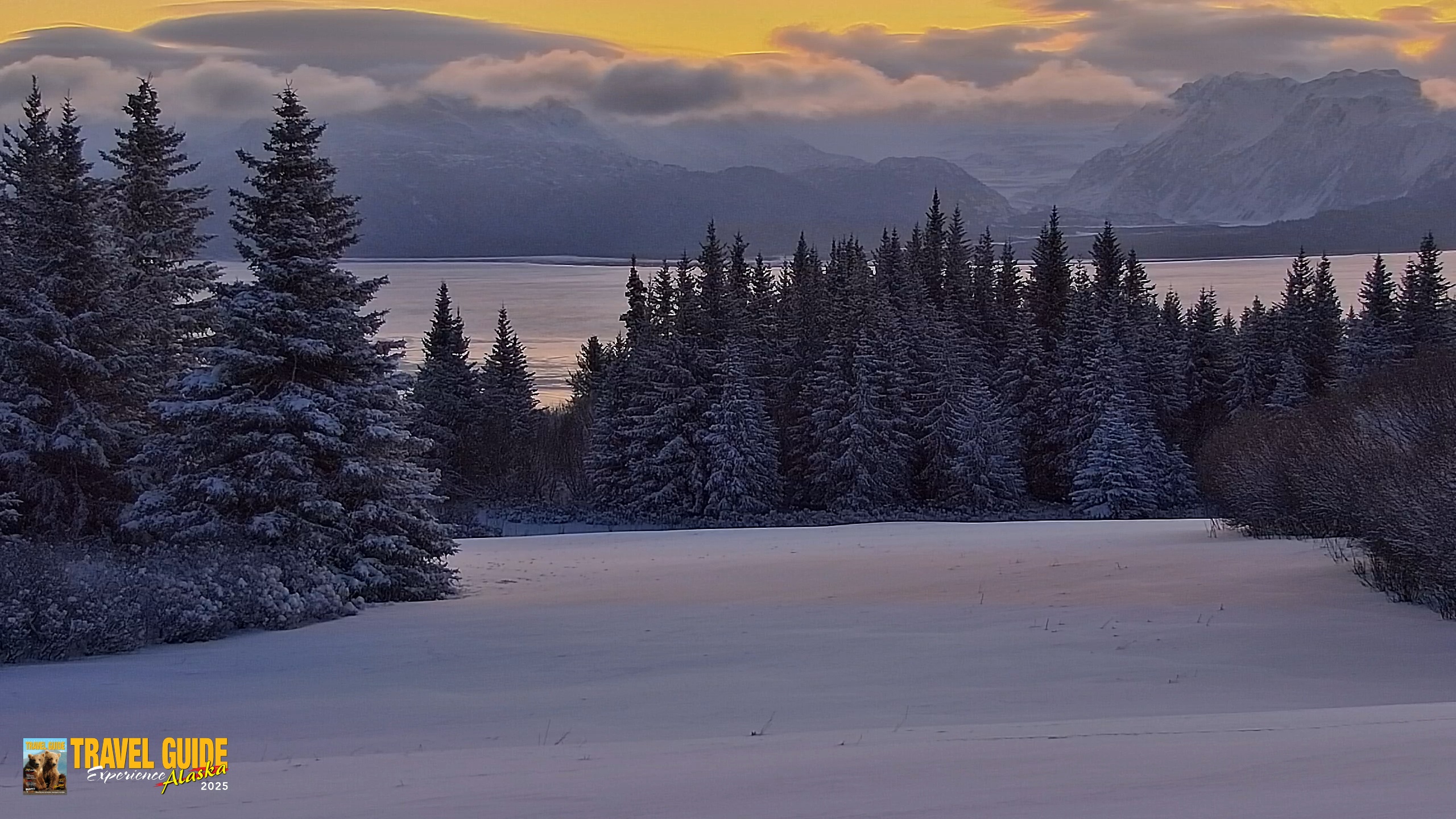 Snapshot of Inspiration Ridge - Homer Alaska Live Webcam taken Jan 7, 2026, 9:34am AKST