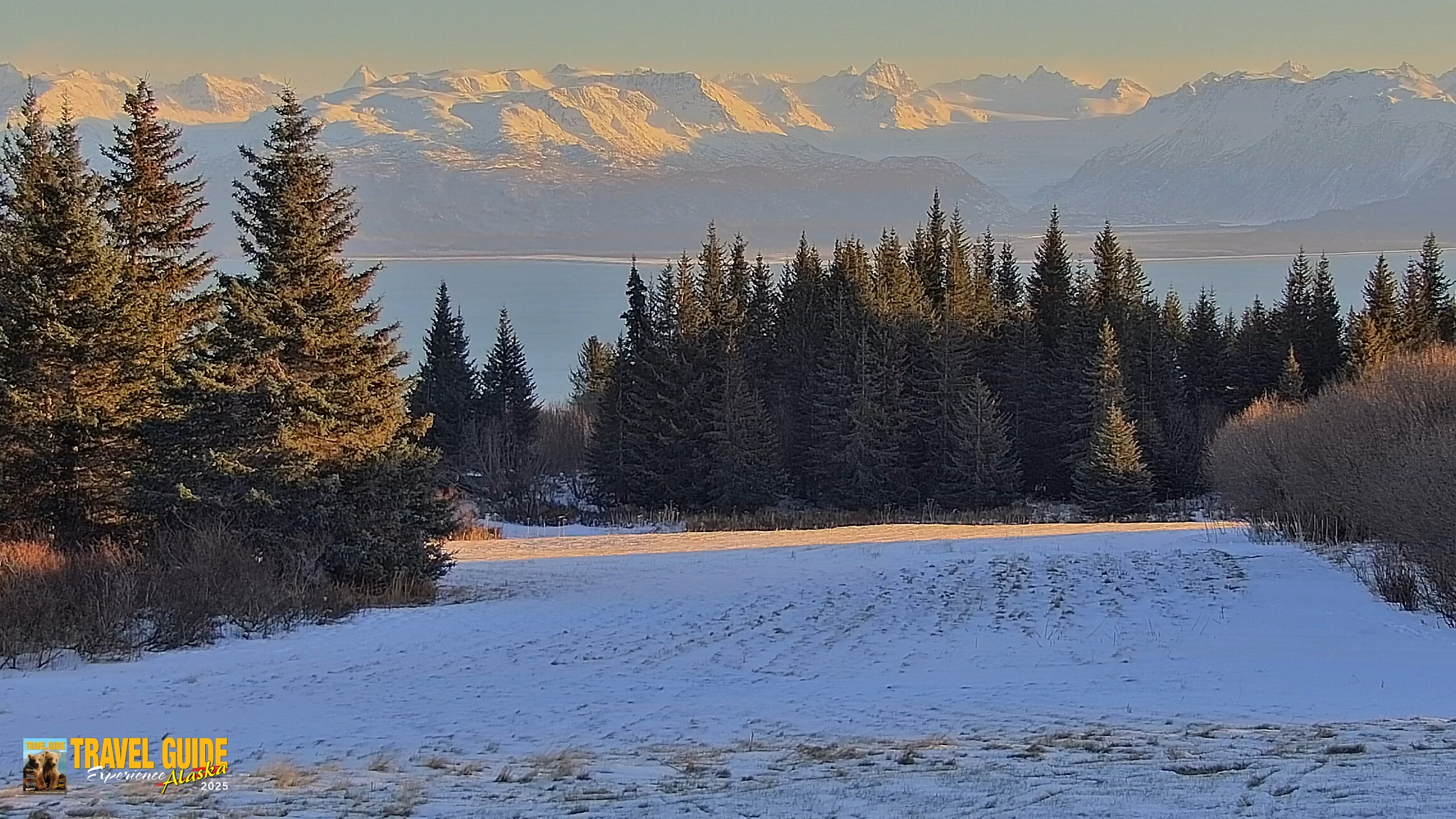 Snapshot of Inspiration Ridge - Homer Alaska Live Webcam taken Dec 31, 2025, 4:51pm AKST