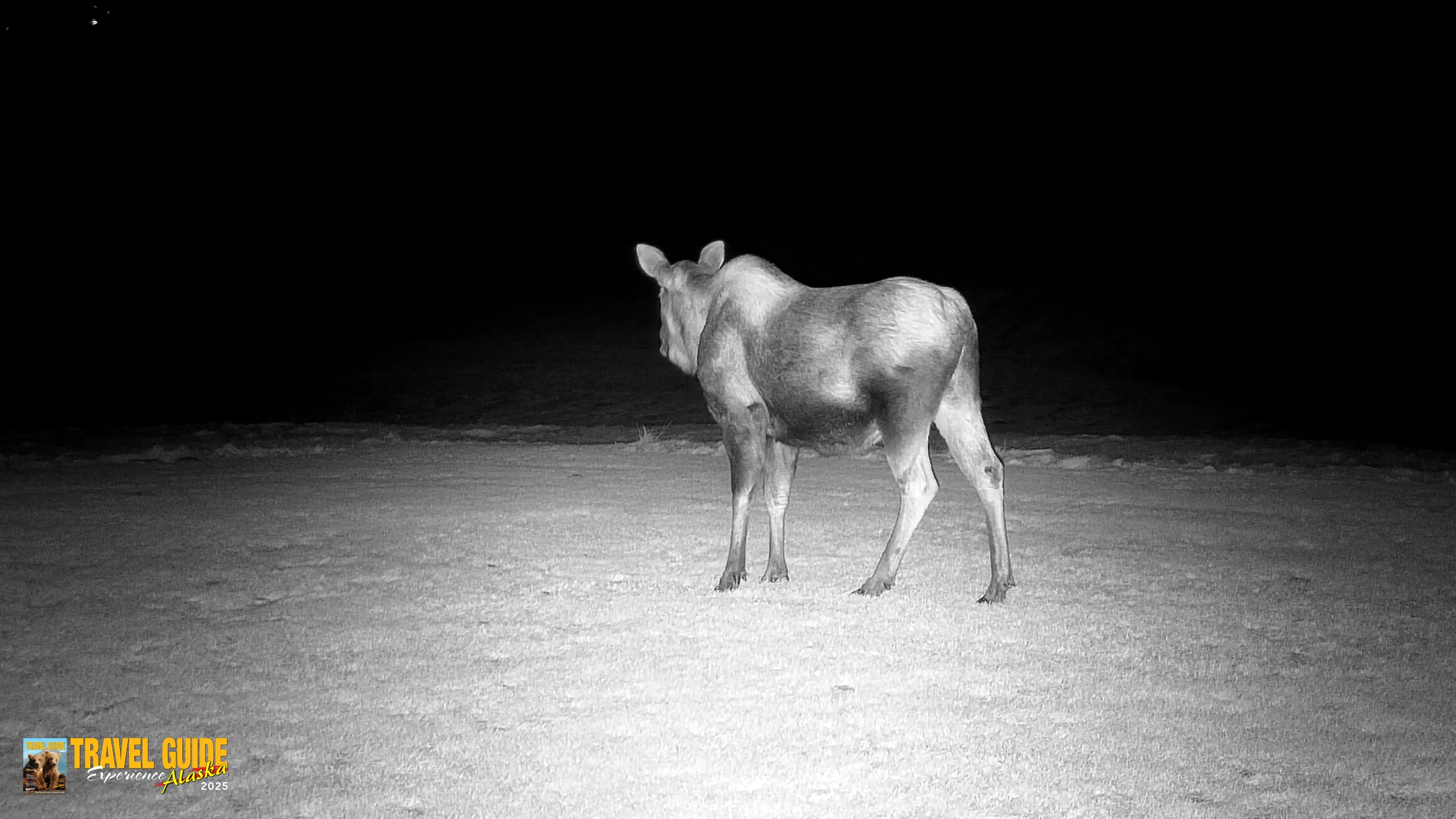 Snapshot of Inspiration Ridge - Homer Alaska Live Webcam taken Dec 25, 2025, 7:59pm AKST