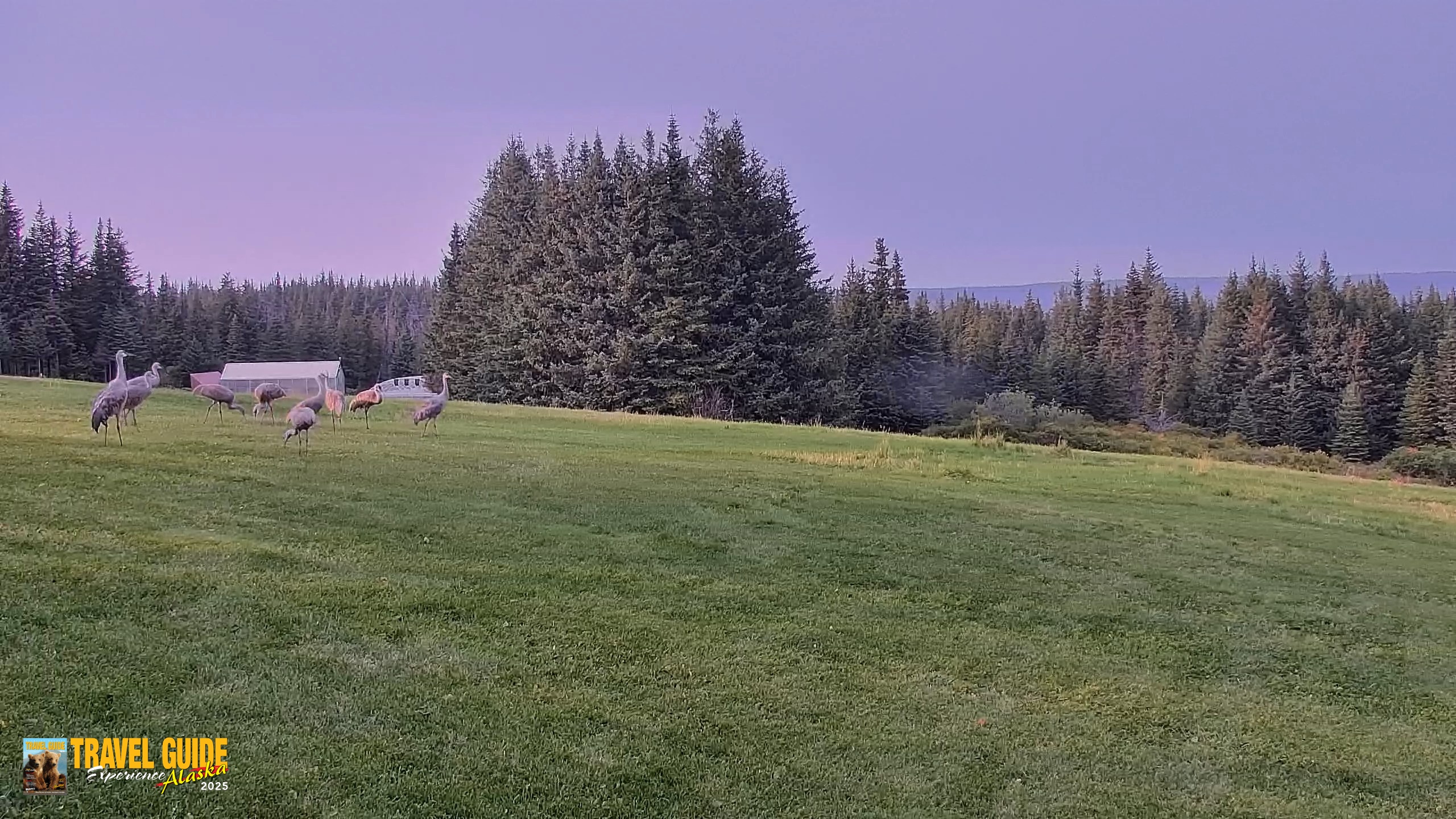 Snapshot of Inspiration Ridge - Homer Alaska Live Webcam taken Sep 10, 2026, 7:05pm AKDT