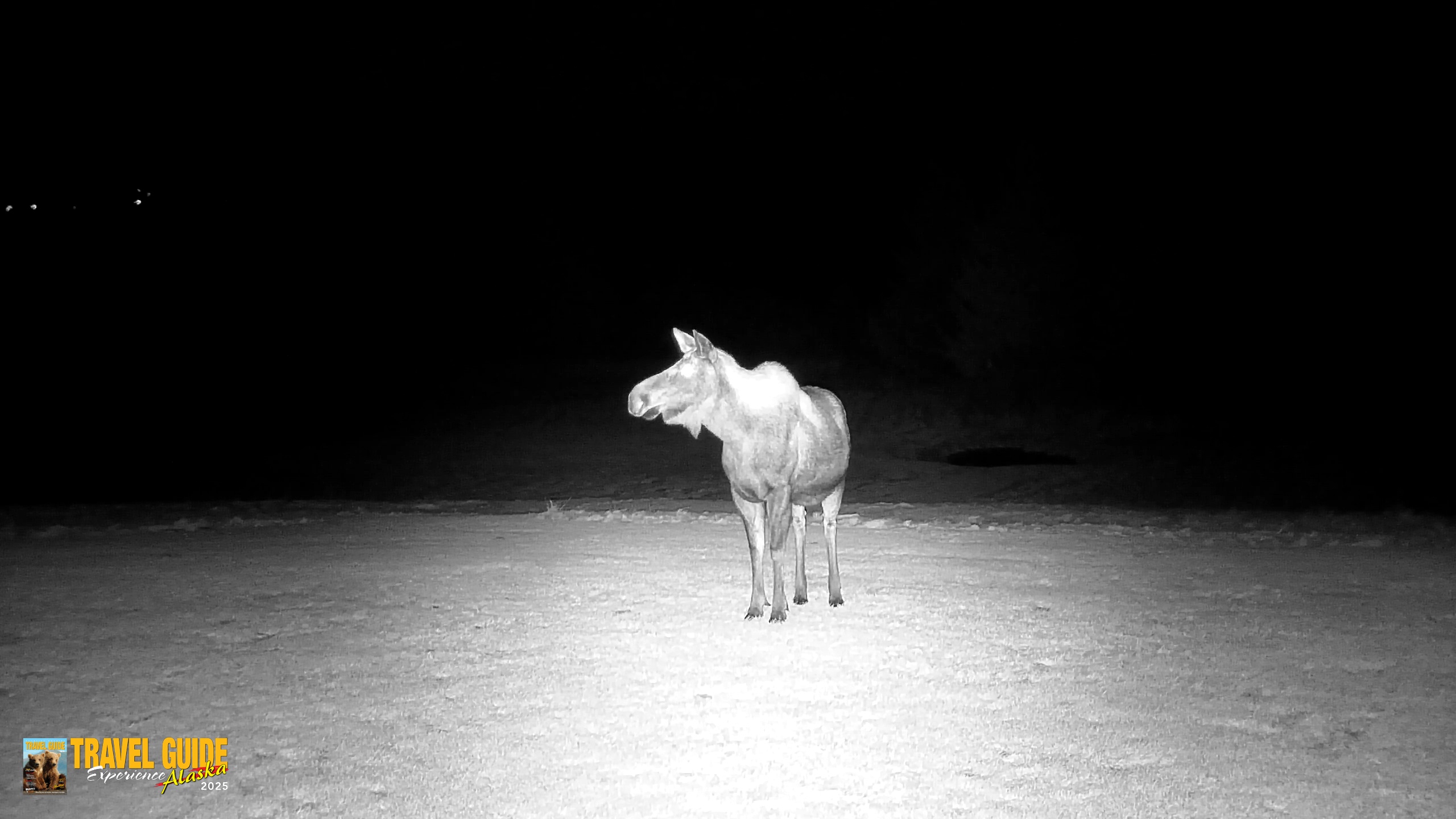 Snapshot of Inspiration Ridge - Homer Alaska Live Webcam taken Dec 25, 2025, 7:27pm AKST