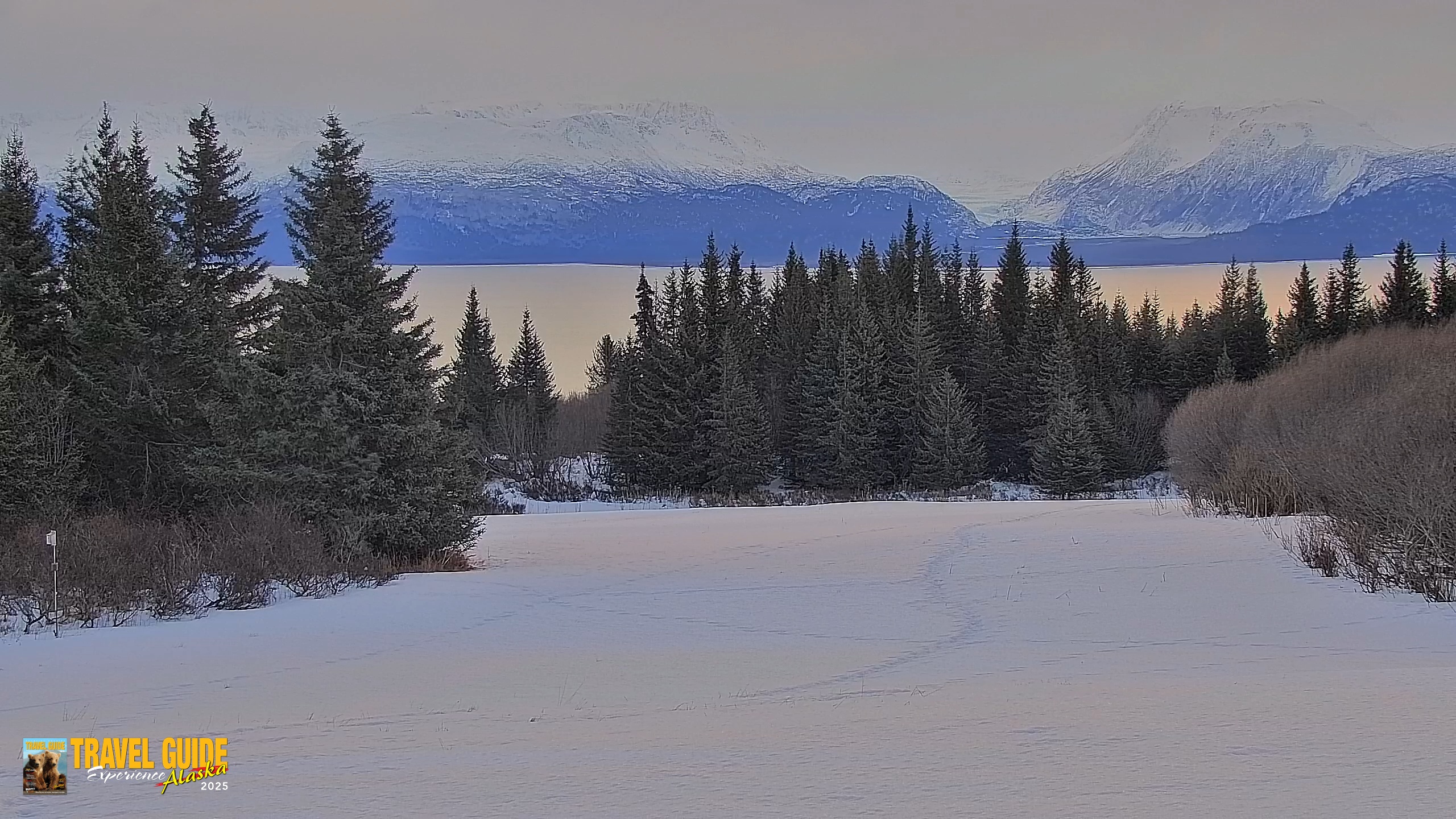 Snapshot of Inspiration Ridge - Homer Alaska Live Webcam taken Jan 29, 2026, 11:09am AKST