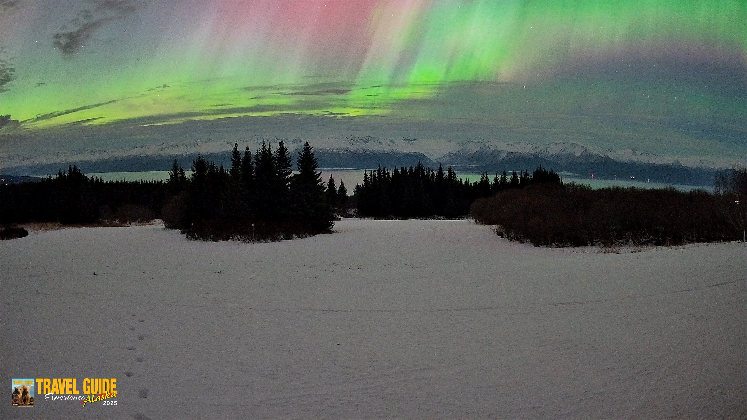 Snapshot of Inspiration Ridge - Homer Alaska Live Webcam taken Jan 20, 2026, 3:02am AKST