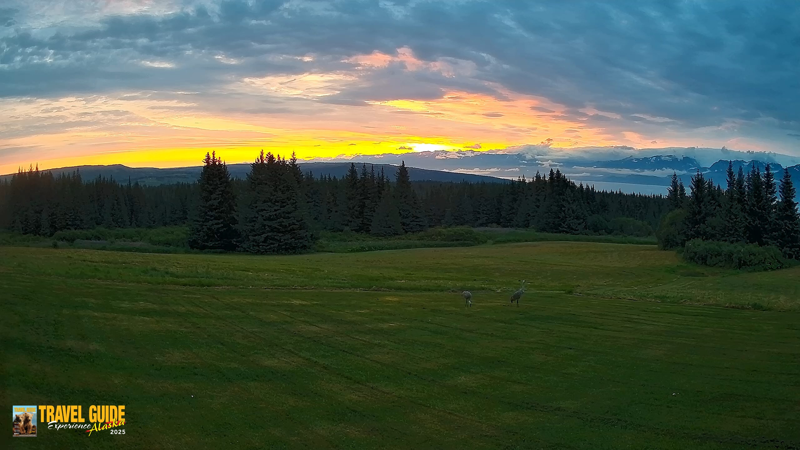 Snapshot of Inspiration Ridge - Homer Alaska Live Webcam taken Aug 19, 2026, 6:46am AKDT