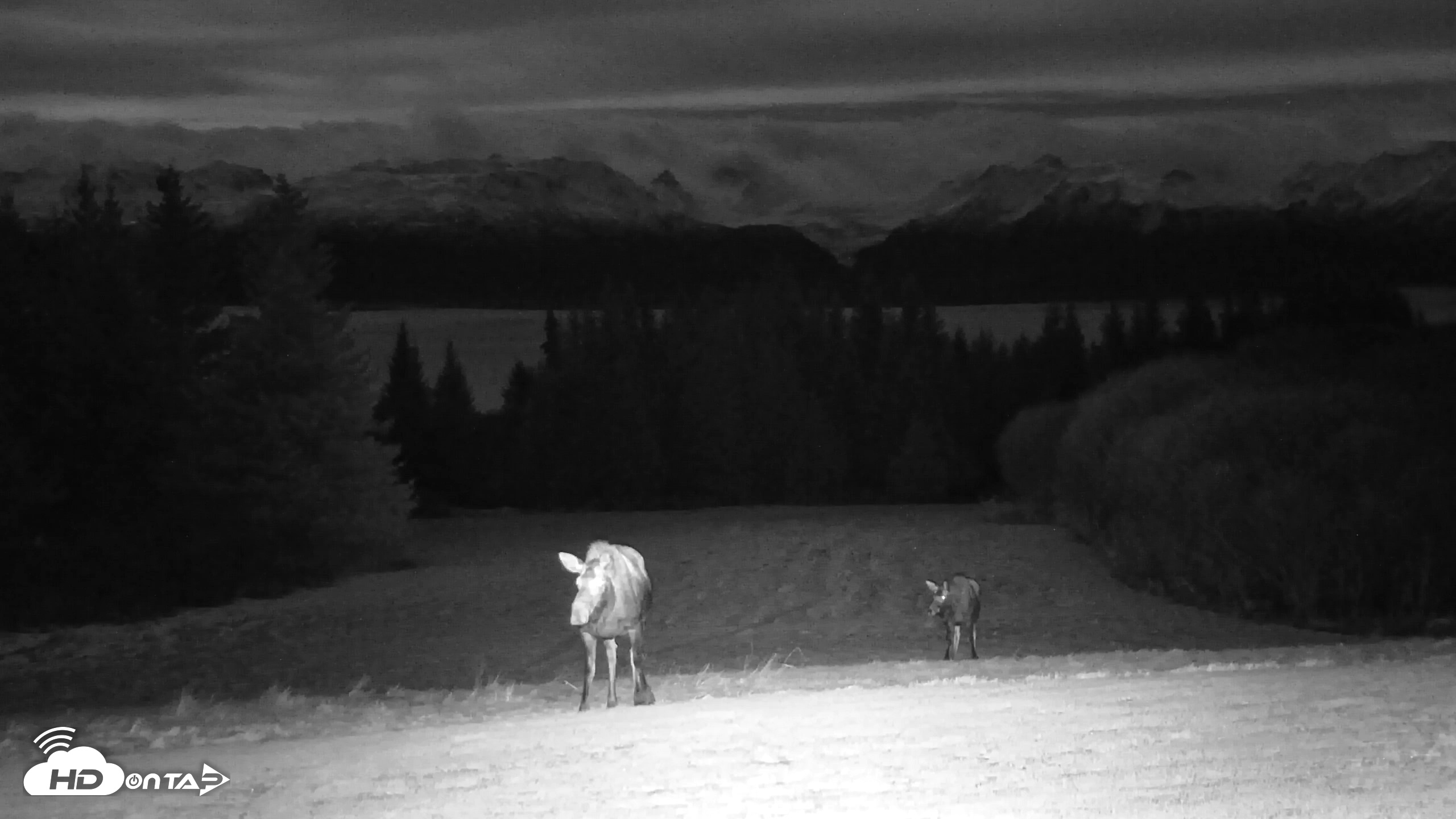 Snapshot of Inspiration Ridge - Homer Alaska Live Webcam taken Dec 2, 2025, 6:26pm AKST