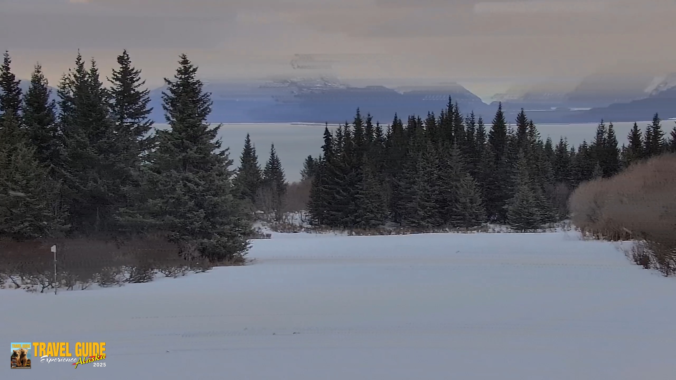 Snapshot of Inspiration Ridge - Homer Alaska Live Webcam taken Jan 17, 2026, 10:09am AKST