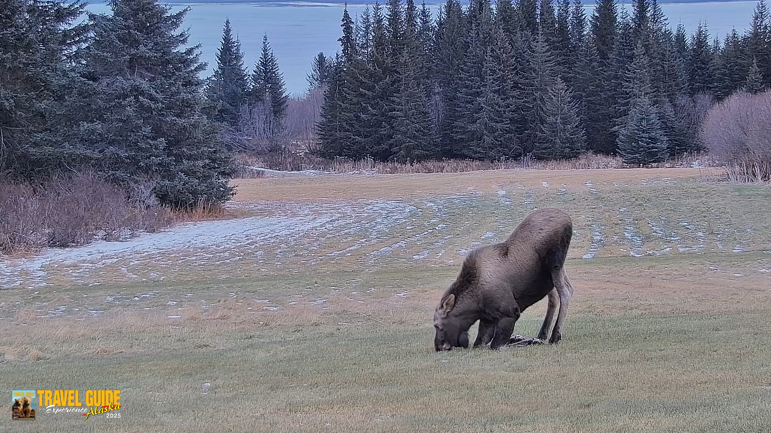 Snapshot of Inspiration Ridge - Homer Alaska Live Webcam taken Dec 22, 2025, 2:45pm AKST