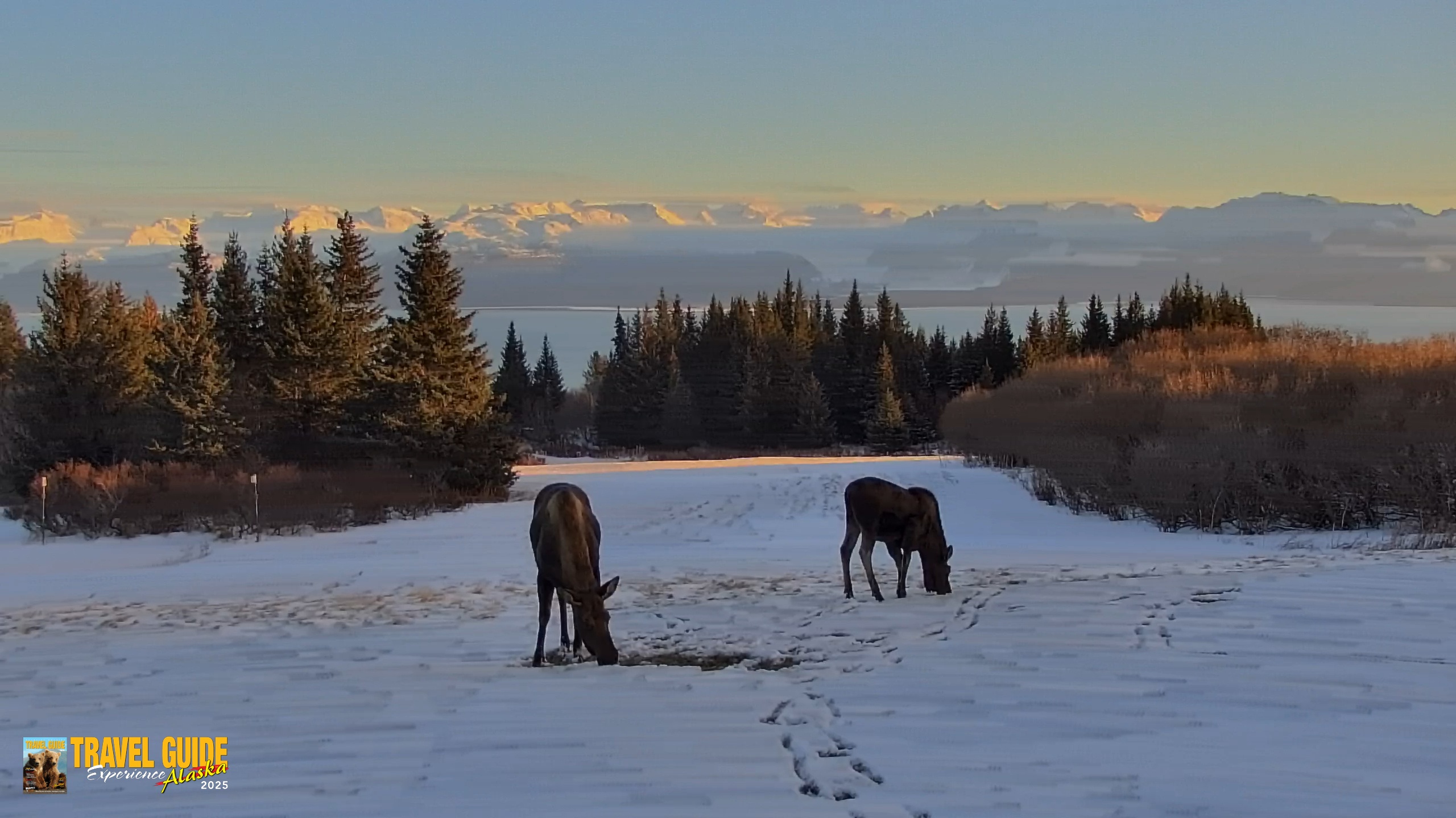 Snapshot of Inspiration Ridge - Homer Alaska Live Webcam taken Dec 30, 2025, 4:29pm AKST