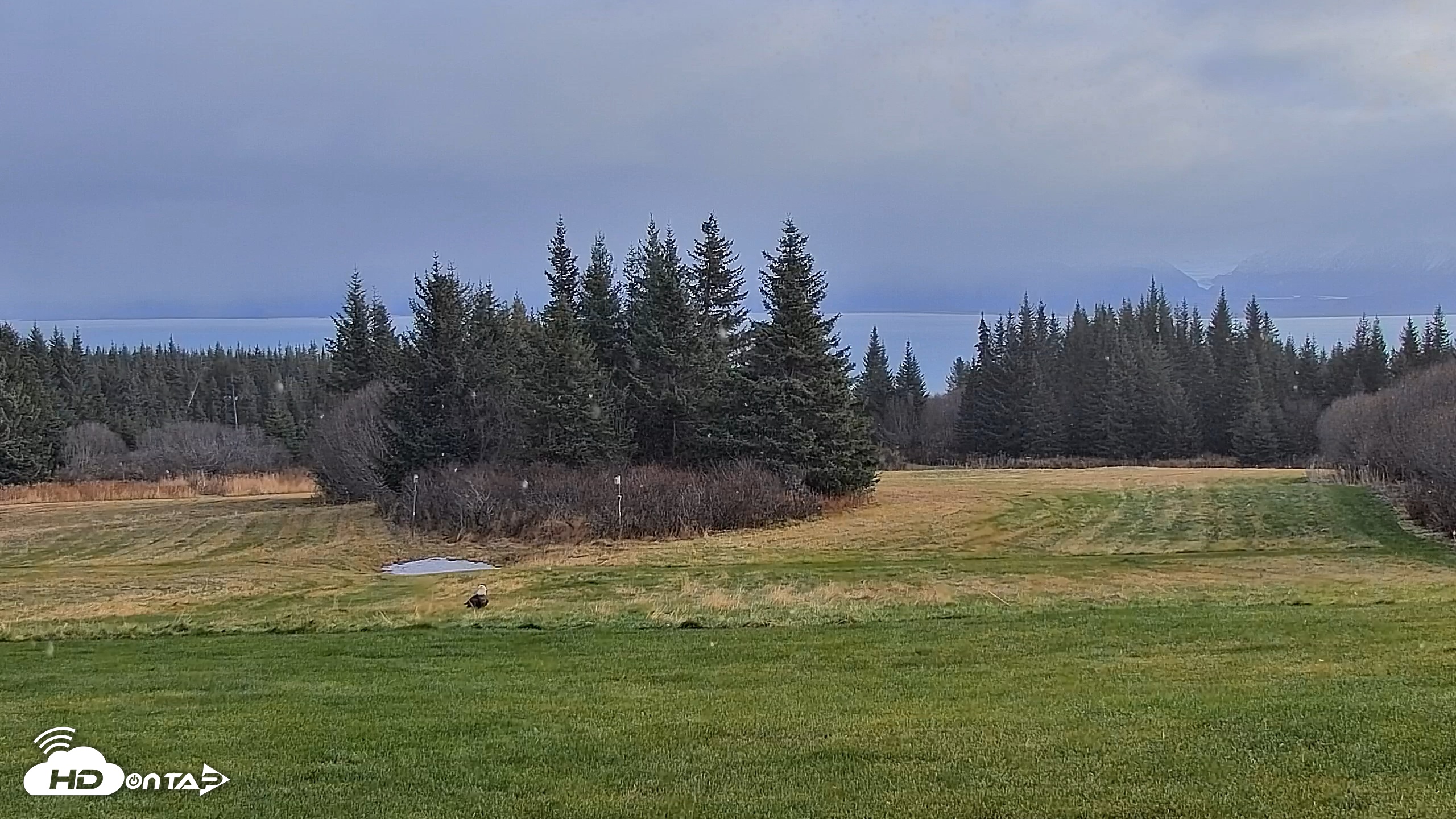 Snapshot of Inspiration Ridge - Homer Alaska Live Webcam taken Nov 2, 2025, 12:03pm AKST