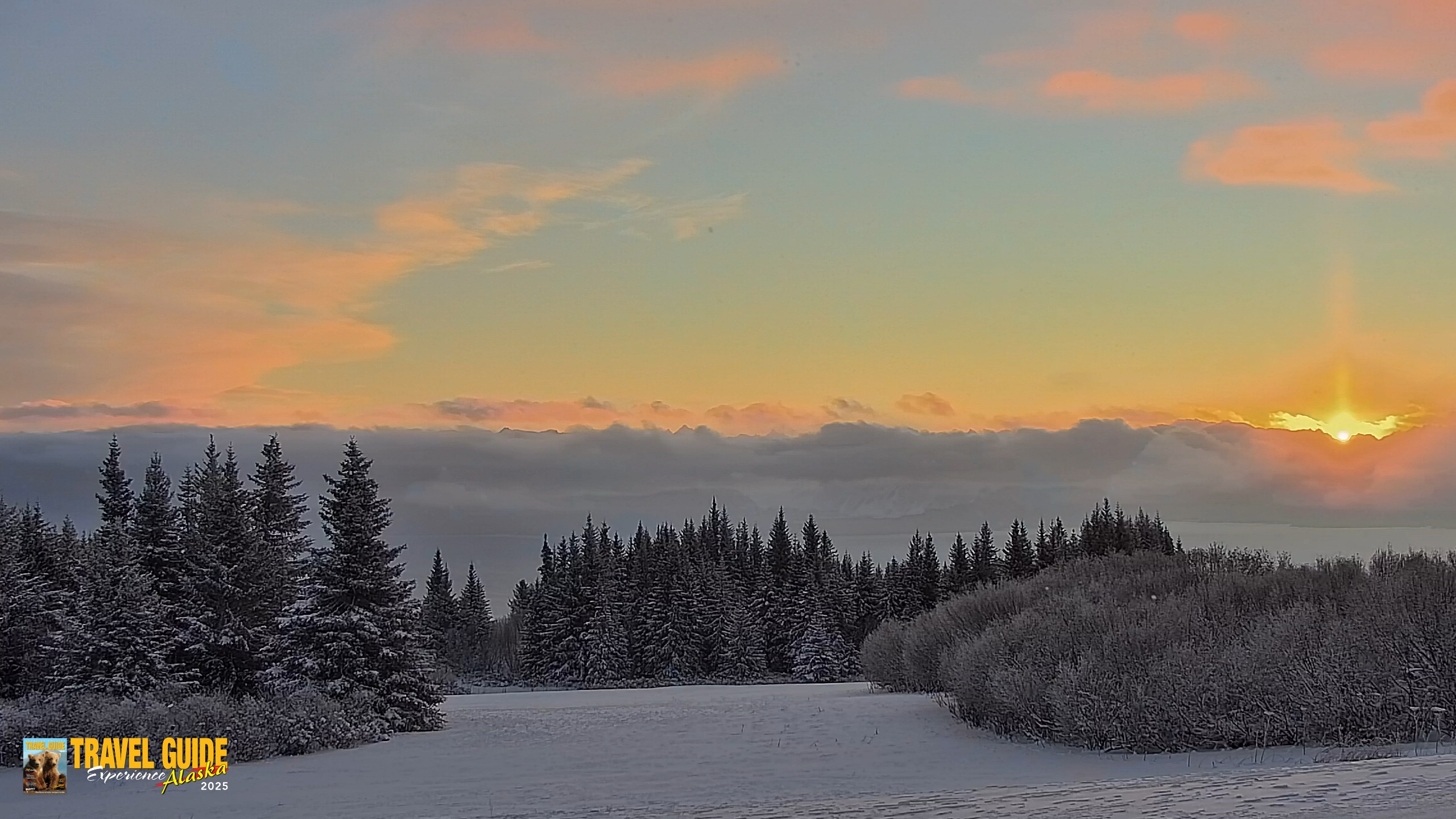 Snapshot of Inspiration Ridge - Homer Alaska Live Webcam taken Jan 14, 2026, 10:07am AKST