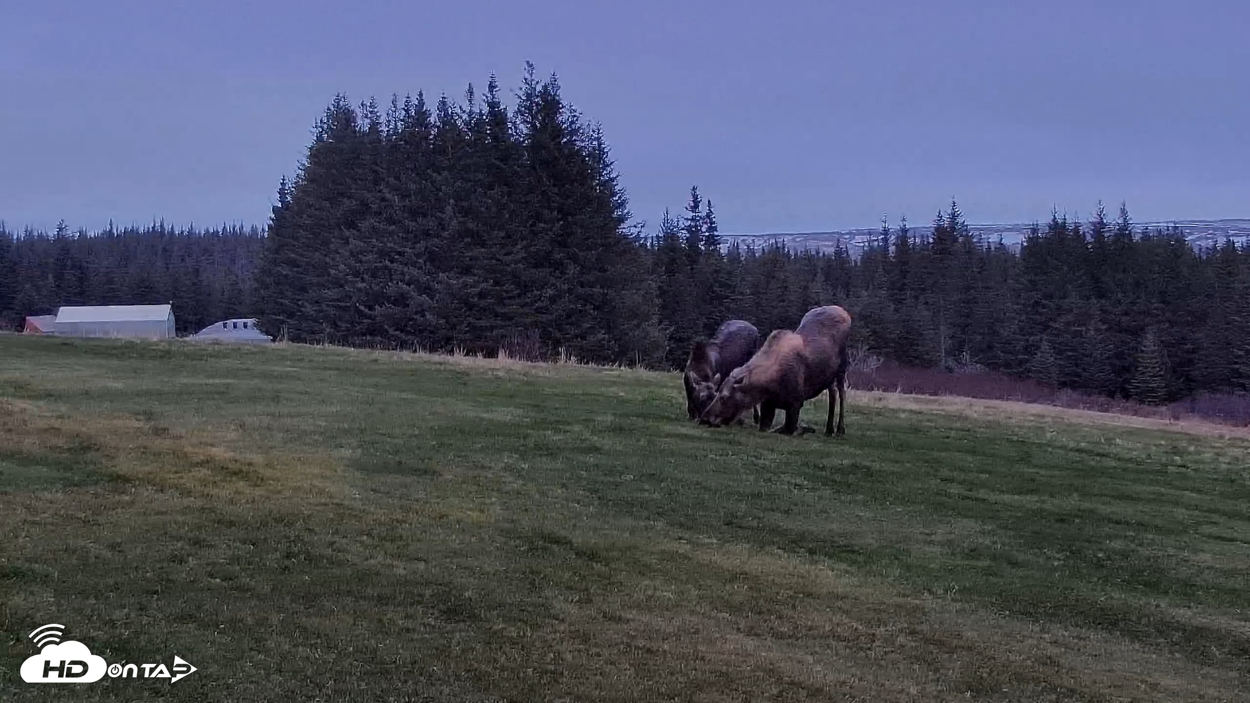 Snapshot of Inspiration Ridge - Homer Alaska Live Webcam taken Nov 2, 2025, 9:27am AKST
