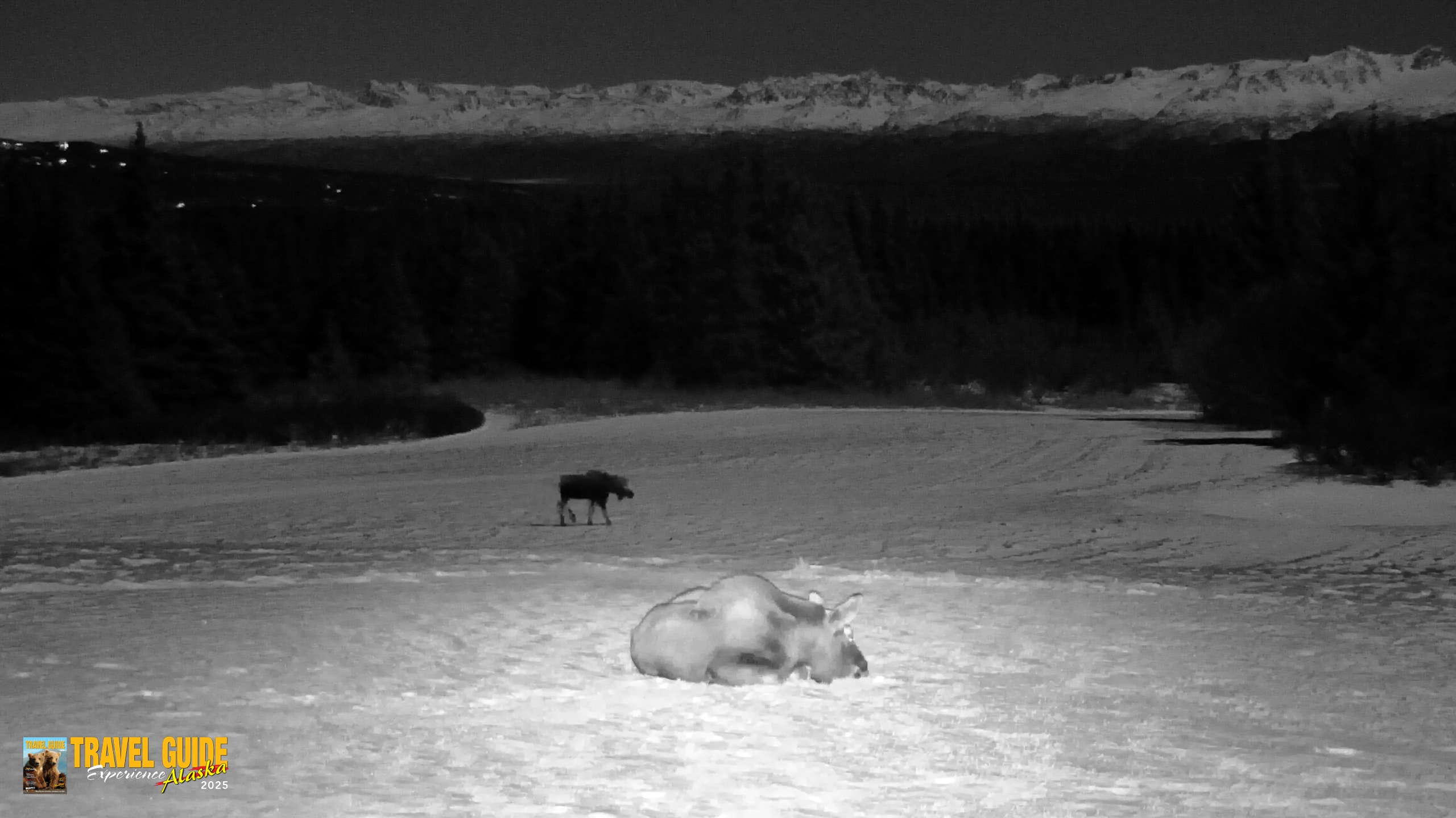 Snapshot of Inspiration Ridge - Homer Alaska Live Webcam taken Jan 3, 2026, 3:30am AKST